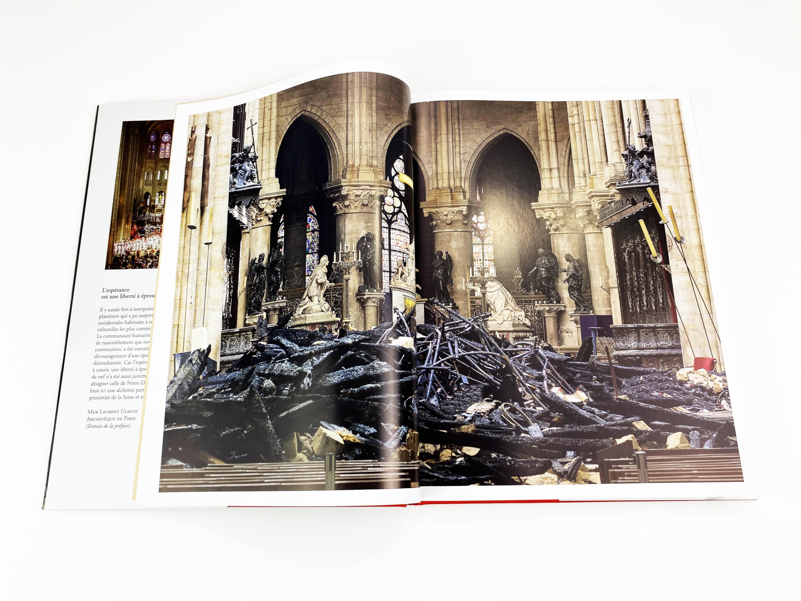 Les résurrections de Notre-Dame de Paris - Histoire, chantiers, ferveur