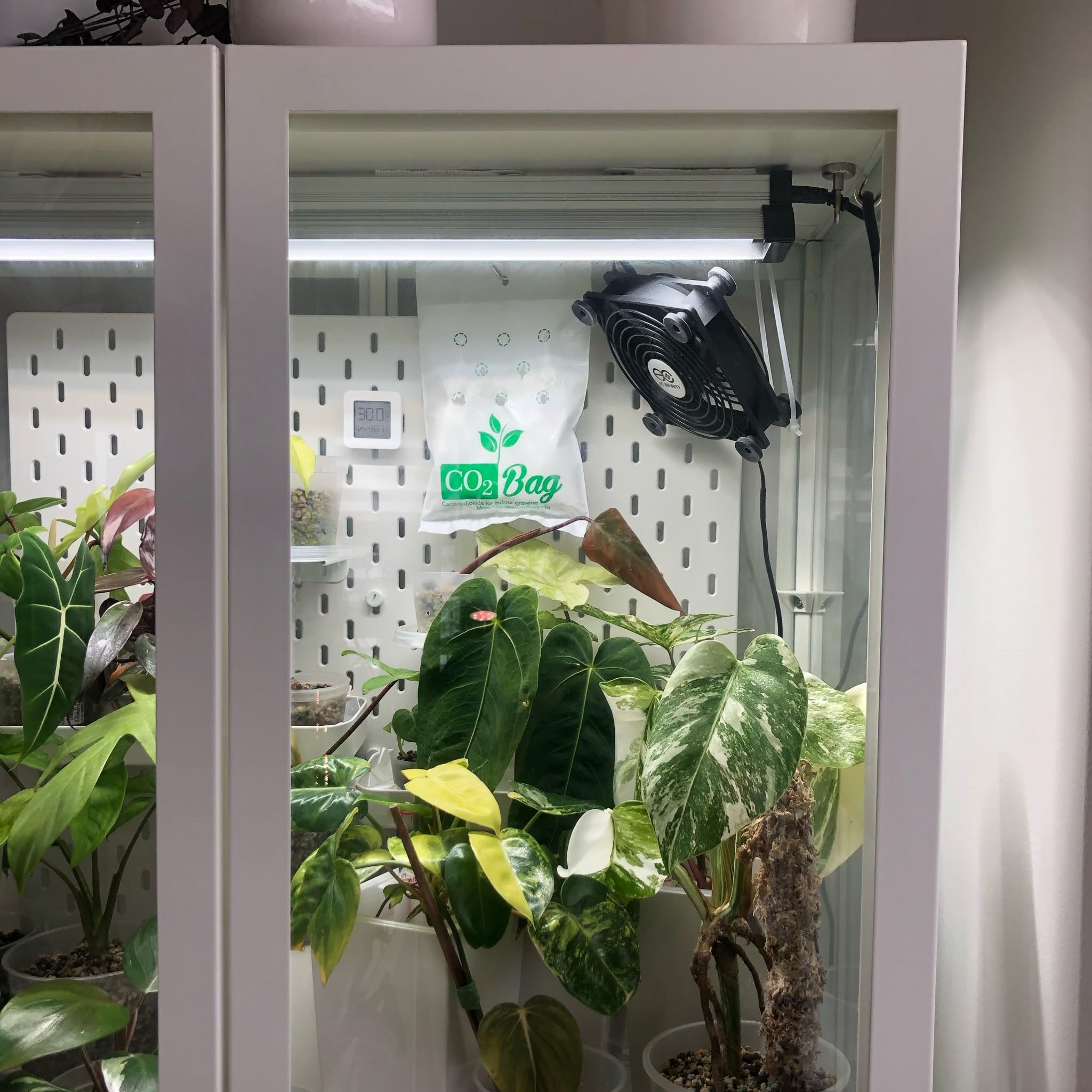 co2 generator for grow tent CO2BAG® M - Natural Tents, Indoor Plants & Greenhouses | Boosts Growth, Yield & Harvest Speed | Organic Hydroponic Supplement state electronic ignition module Pick a Goggle/Lens Color:Black goggle/ ChromaPop Sun Red Mirror lenses Richtige Zeltreinigung und Pflege Price-Over-£500