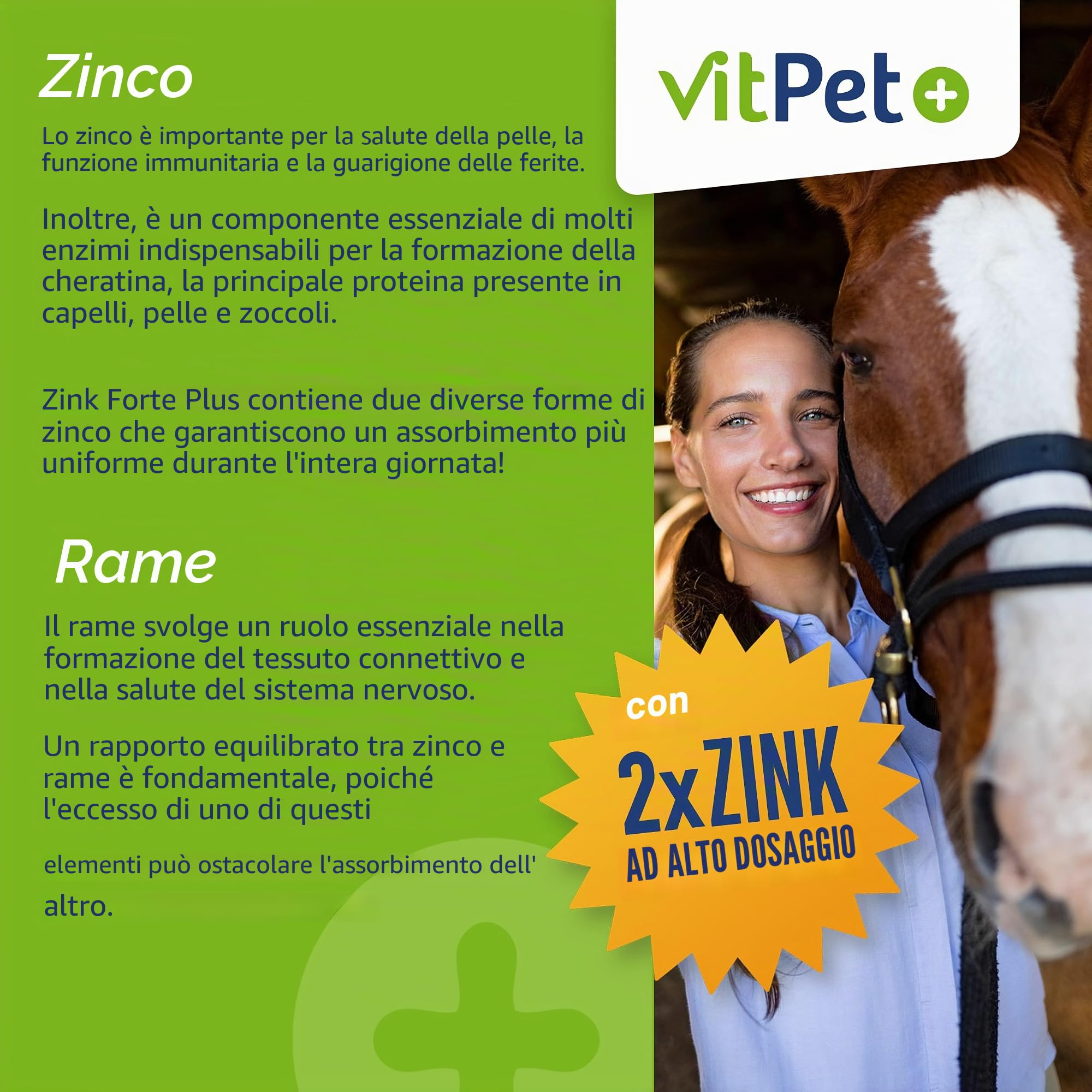 Zink Forte Plus | Cavallo di zinco ad alto dosaggio più rame e selenio | Con due forme di zinco per un assorbimento duraturo, per pelliccia, zoccoli e sistema immunitario, 1,8 kg