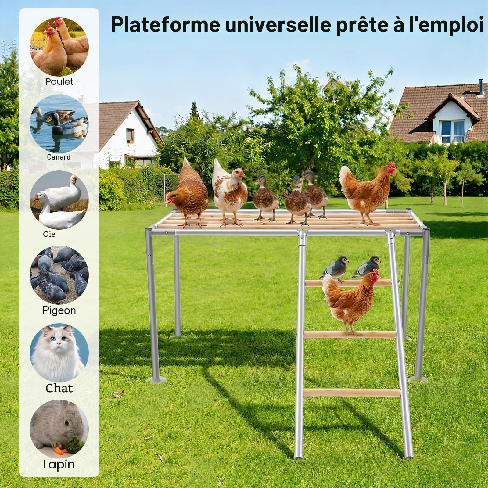 Perchoirs pour poules, plate-forme pour 10 poules adultes, accessoires de poules, balançoire pour poulaillers, fermes d'élevage, cour