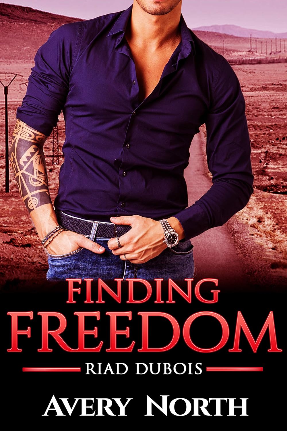 Amazon.com: Finding Freedom (Riad Dubois Book 3) eBook : North, Avery ...