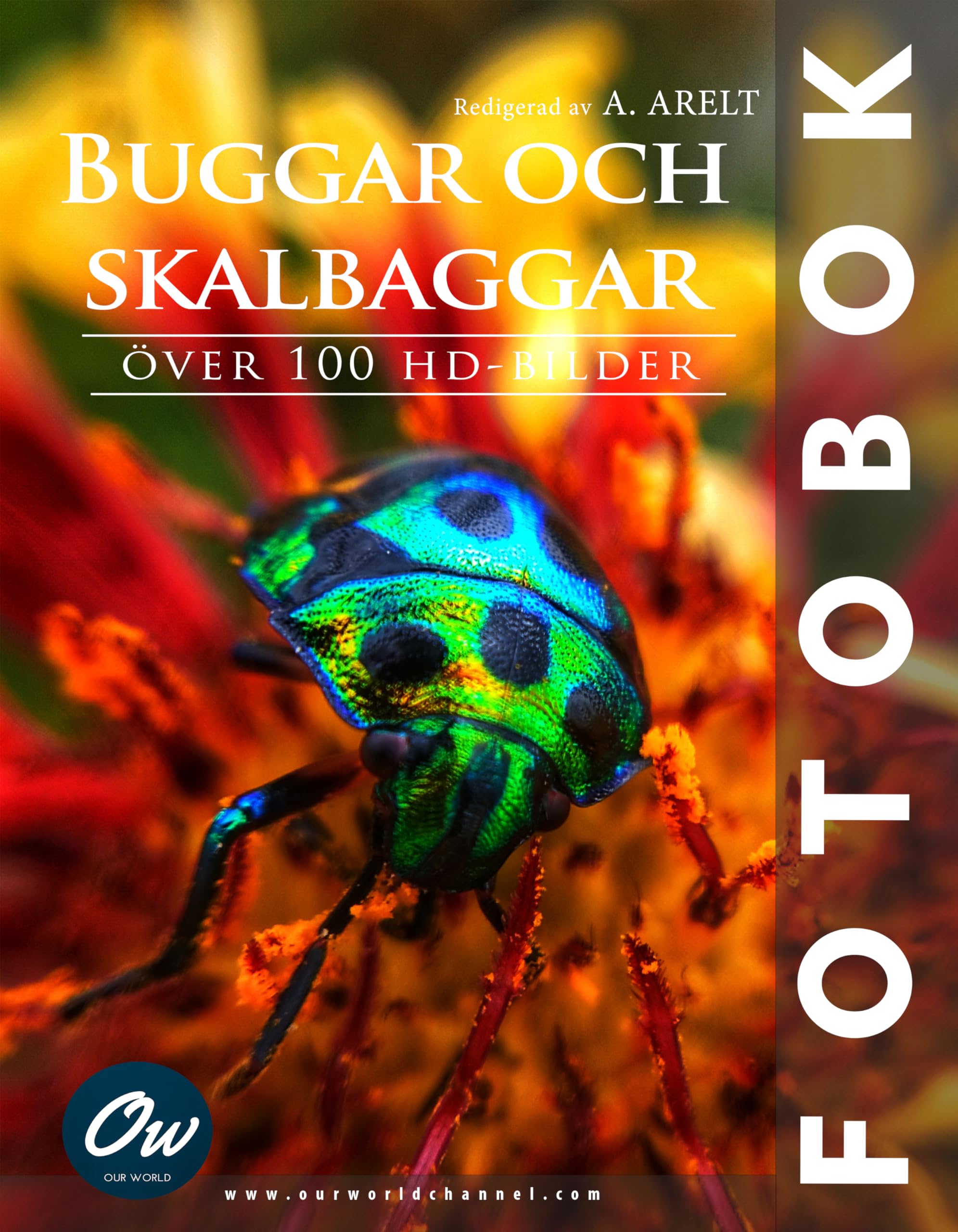 Livre photos d'insectes et coléoptères le cadeau idéal pour les jeunes naturalistes