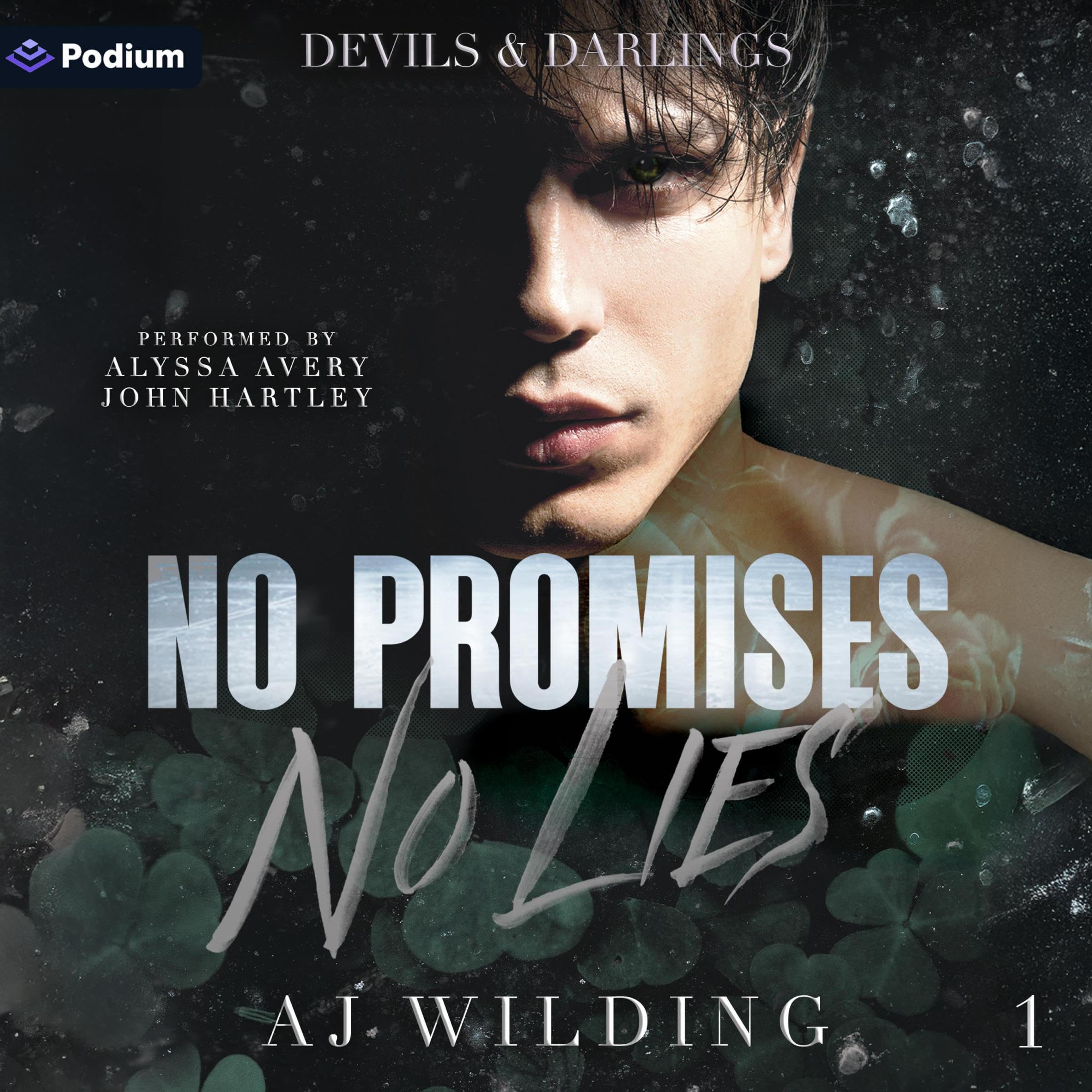 Cover art for No Promises, No Lies