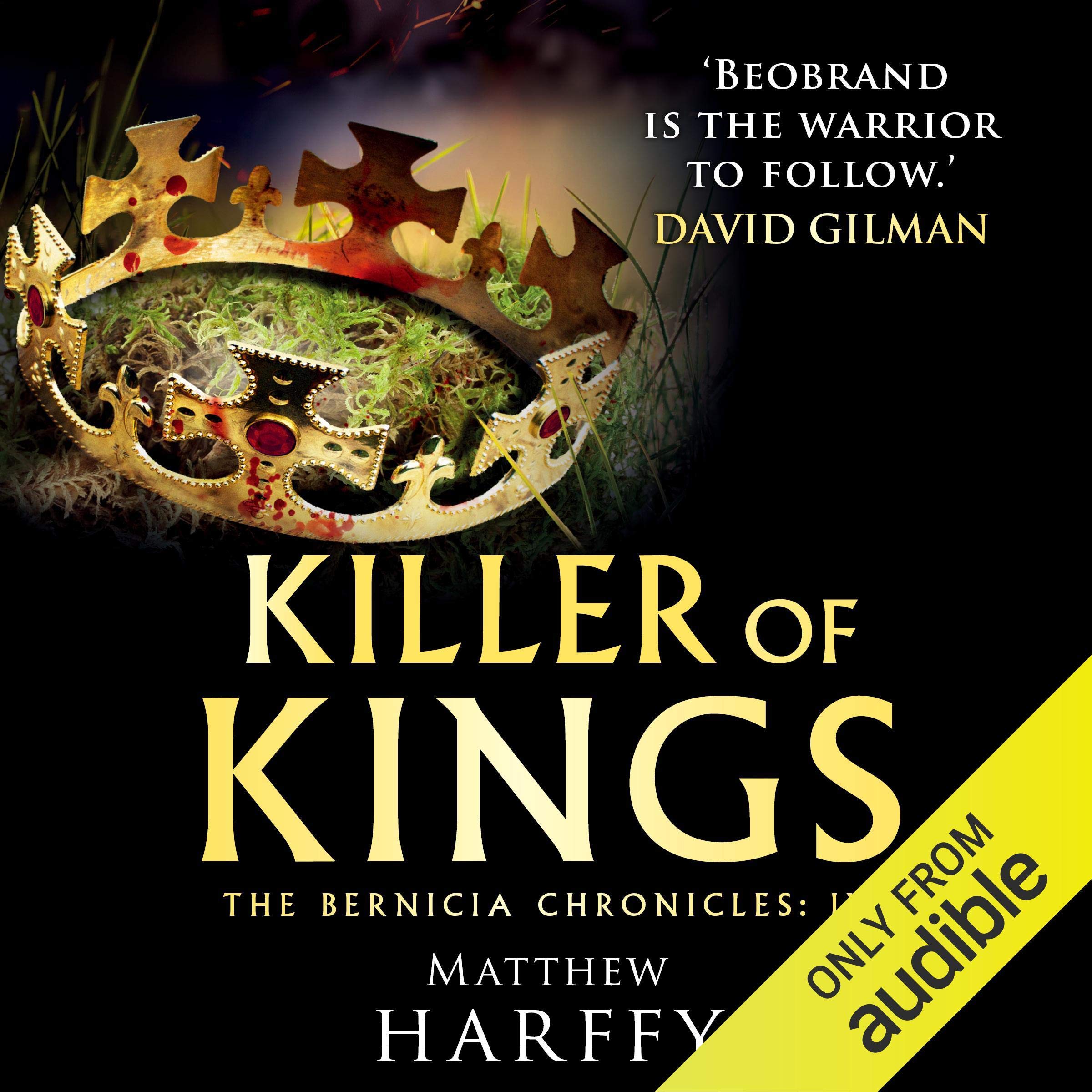 Cover art for Killer of Kings