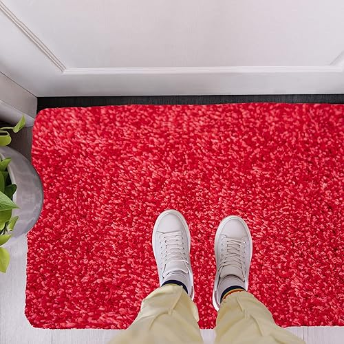 Miniatura 10 de RugMast Tapete para puerta de interior, 20 x 30 pulgadas, tapete lavable para entrada, antideslizante, súper absorbente, tapete de microfibra para