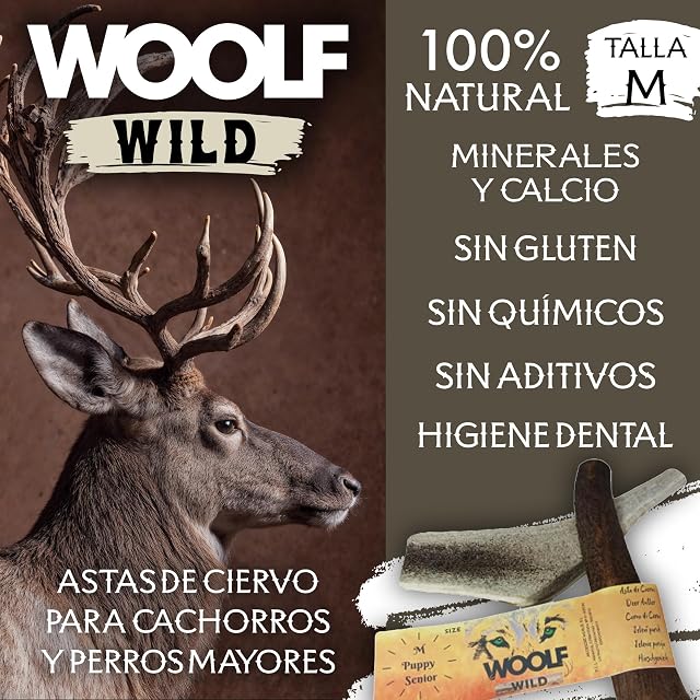 Foto 2 de 8 de Woolf Wild Asta de Ciervo Puppy & Senior TM