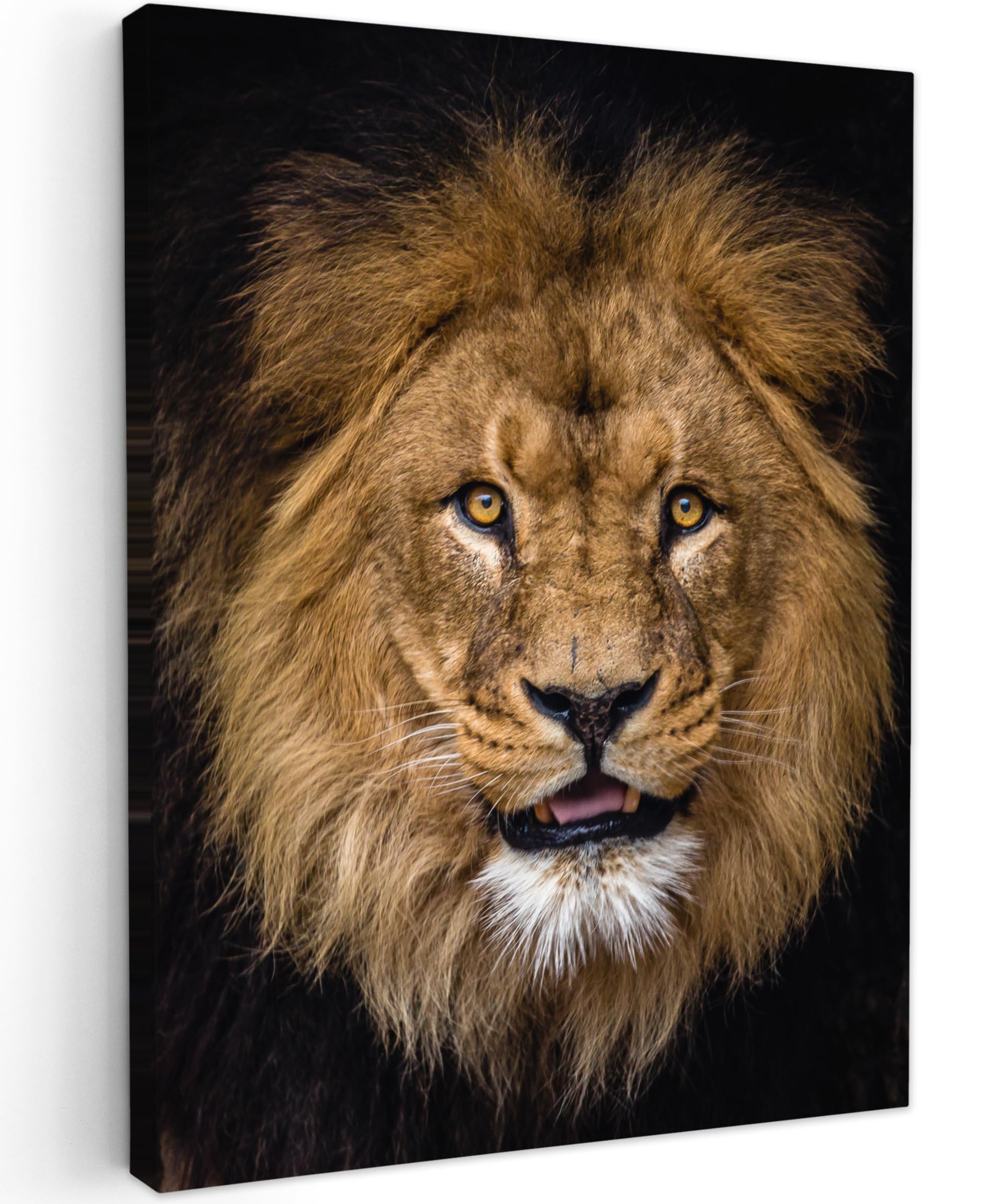 MuchoWow© Canvas Wall Art 12"x16" / 30x40 cm Decor Hanging Pictures for Living Room Canvus Artwork Deco Walls Lion - Portrait - Black - Animals — image 1