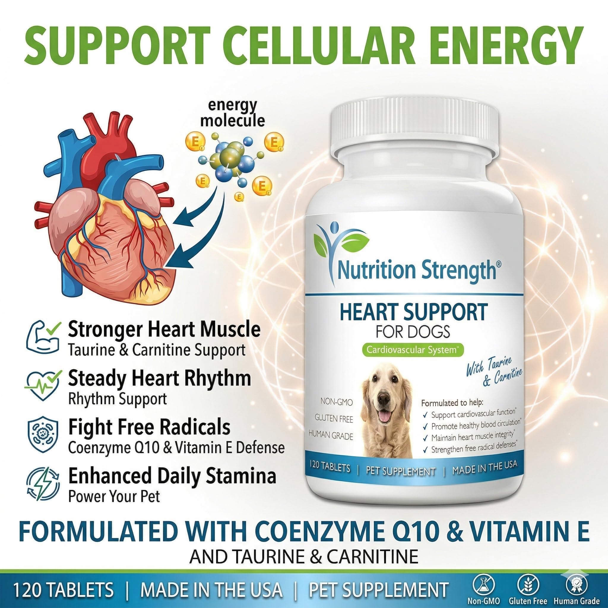 can you give human supplement taurine and l-carnitine to dogs Carnitine For L-Carnitine vs Taurine for Dogs: