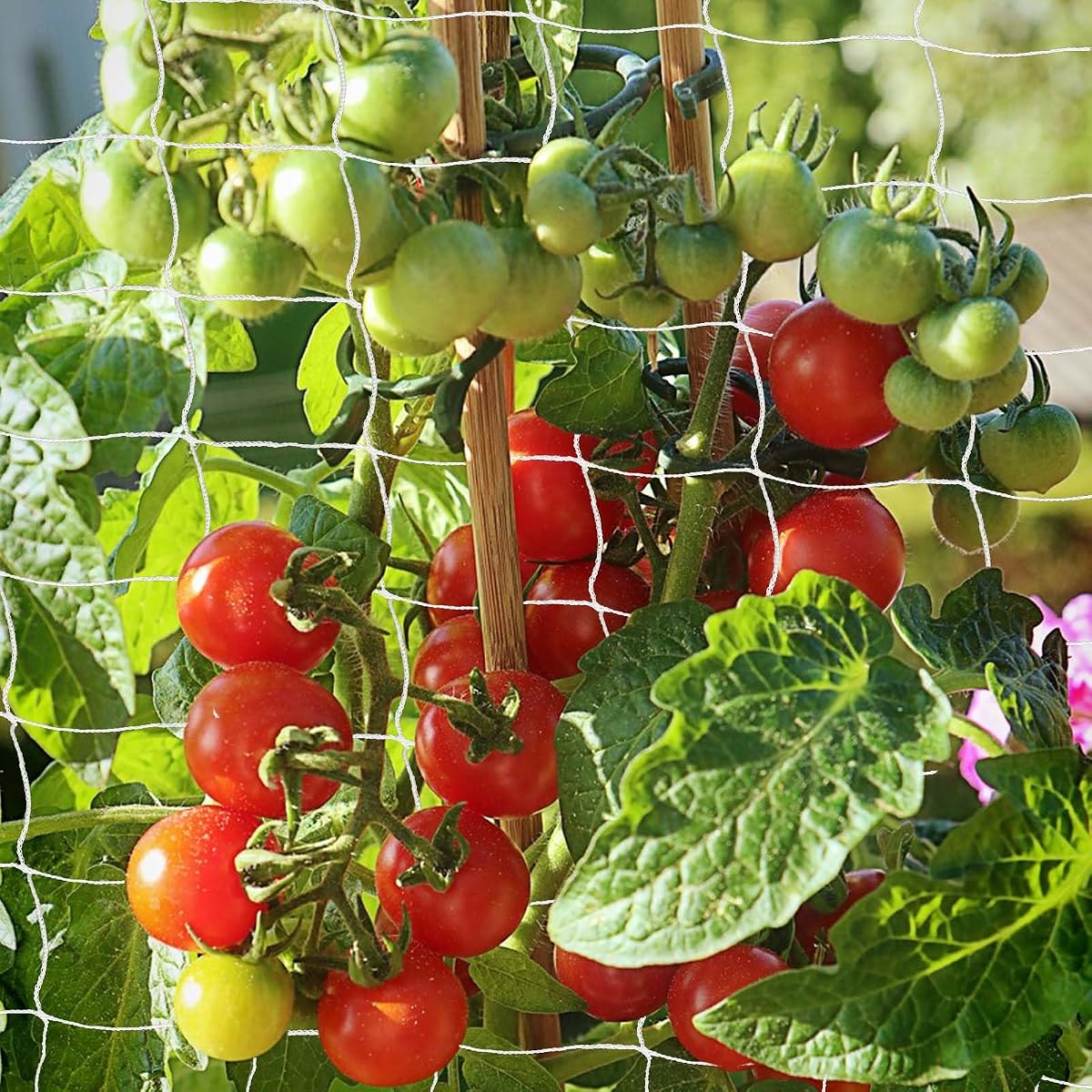 Trellis Netting, PDGROW Garden Plant Trellis Netting, 6 x 15 ft Heavy Duty Garden Trellis Netting, Outdoor Grow Net for Vines, Fruits, Vegetables, Grapes, Beans,Peas, 1 Pack