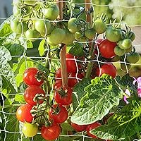 Vista 8 de Red de enrejado, red de soporte para plantas trepadoras, red de frijoles de guisantes de jardín, red de enrejado de polietileno resistente