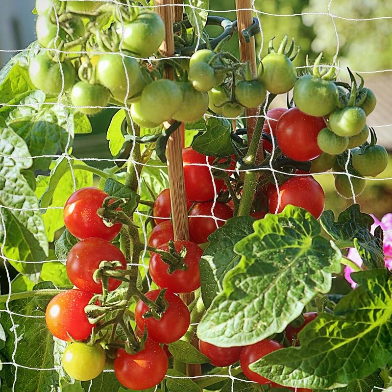 Trellis Netting, PDGROW Garden Plant Trellis Netting, 6 x 15 ft Heavy Duty Garden Trellis Netting, Outdoor Grow Net for Vines, Fruits, Vegetables, Grapes, Beans,Peas, 1 Pack