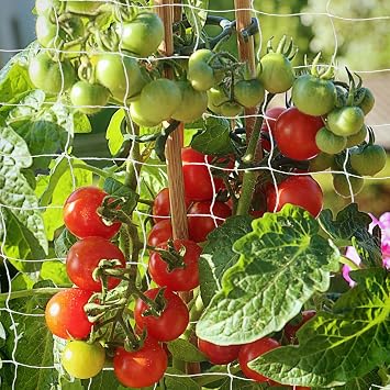 Heavy Duty Garden Trellis Netting, 6 x 15 ft, White, Rectangular, Polyester Nylon, Climbing Plant Support Netting, Garden