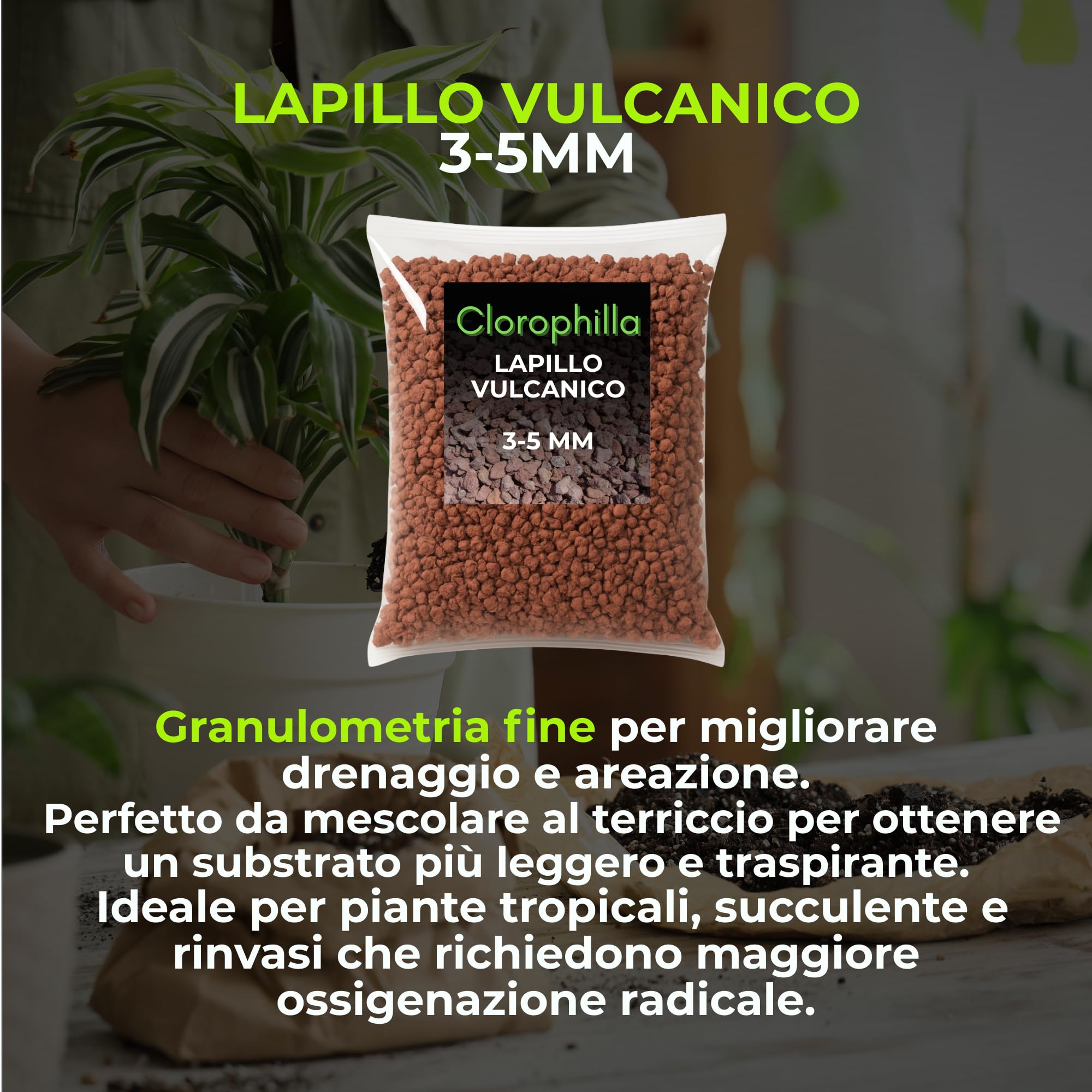 CLOROPHILLA Kit Drenaggio per Piante – Lapillo Vulcanico 3-5 mm + Lapillo 5-10 mm, Fibra di Cocco Naturale 2L, Marmo Bianco 7-12 mm – Substrato Completo per Vasi, Orto e Piante da Interno (KIT 10L X4)