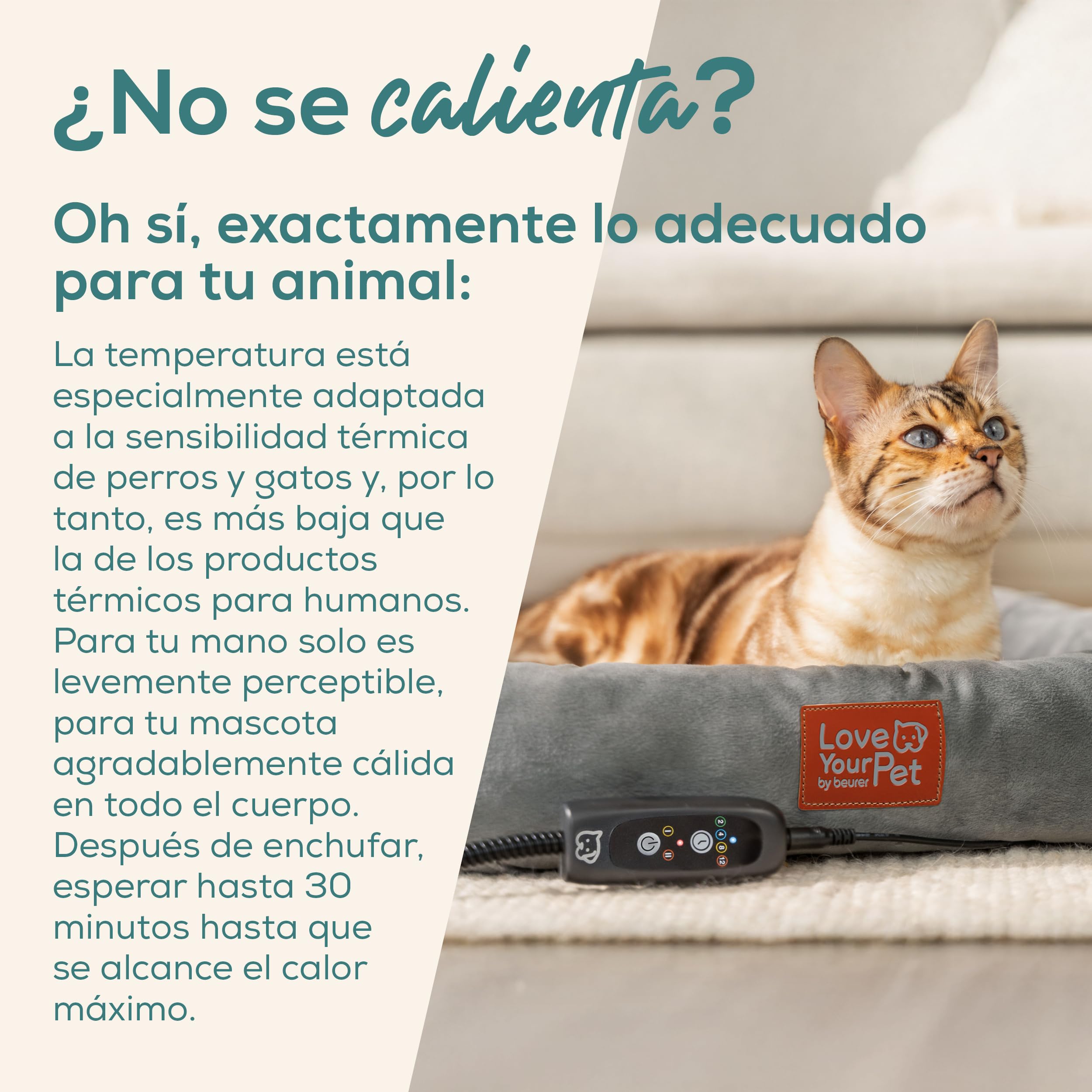 Beurer Love Your Pet Cama térmica «Kira» para Perros y Gatos, Cama para Perros con calefacción eléctrica y Temporizador, Lavable a 30 °C, Resistente a los arañazos y el Agua, 58 × 50 cm