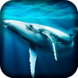 Amazing 3D Games