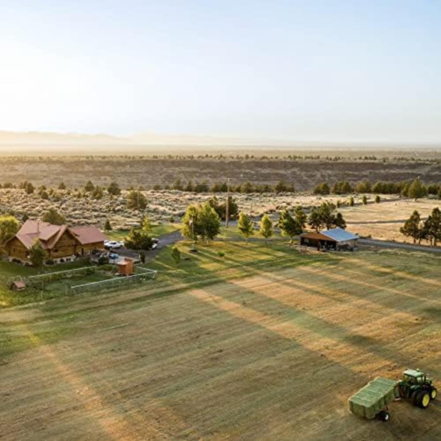 Blue Mountain Hay Fresh High Altitude 2nd Cutting Timothy Grass Hay (10 lb), Soft Leafy Easy Flake Forage High Fiber Balanced Nutrition Supports Digestion Optimal Weight Palatability Low Waste