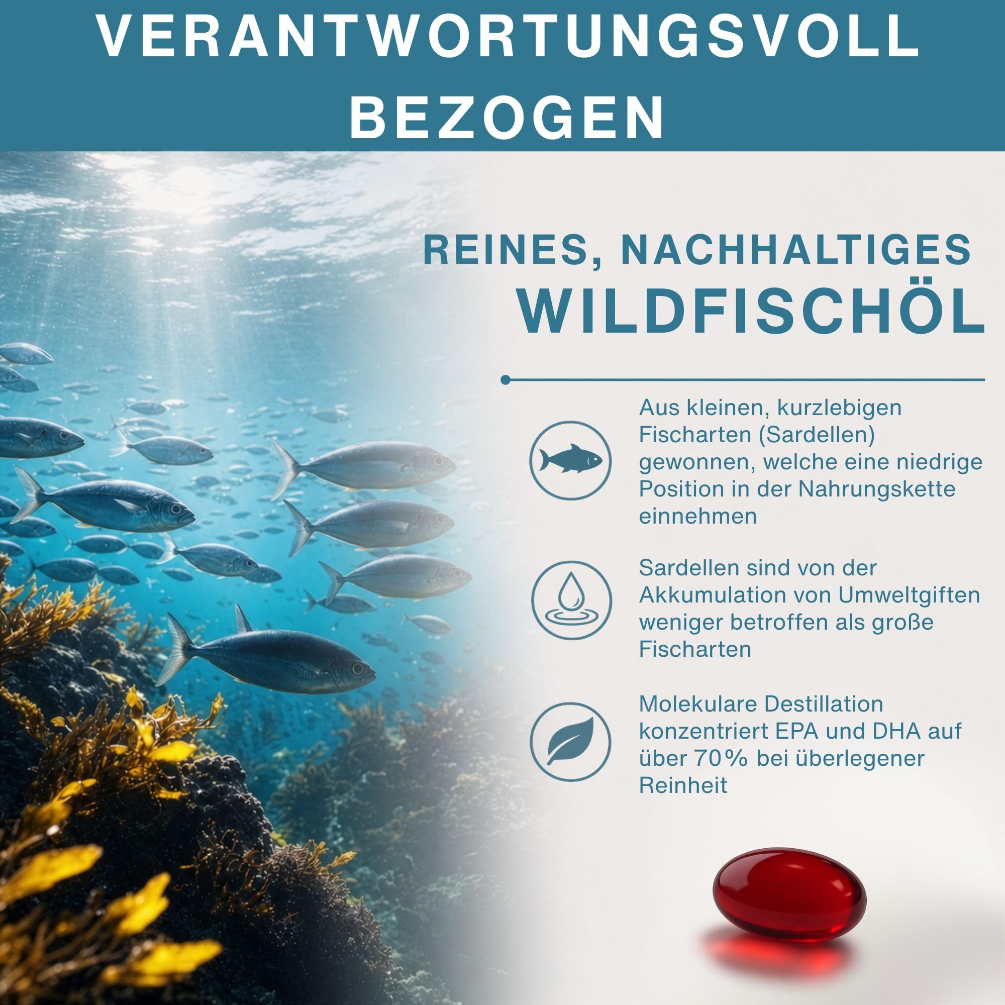 Igennus Hochwertigstes Omega-3 Wildfischöl 1360mg & Astaxanthin | Triglyceridform rTG, 1000mg EPA- und DHA-Fettsäuren, ultra rein; frei von Umweltgiften, Zitronengeschmack, 180 Weichkapseln