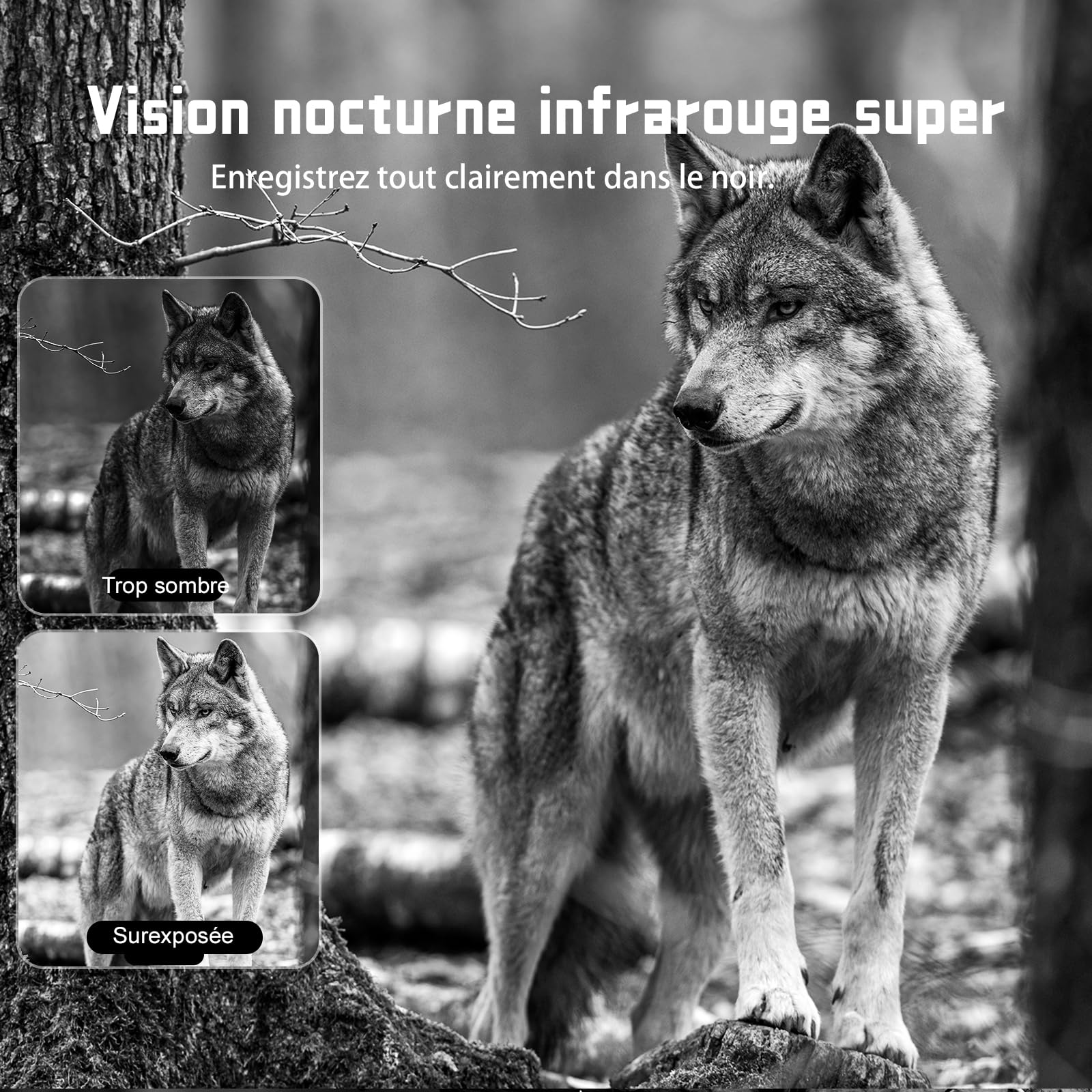 CEYOMUR 4G LTE Camera de Chasse, 2K HD Caméra de Chasse avec SIM Card | Vision Nocturne Infrarouge et Activée par Le Mouvement Piege Photographique pour la Surveillance de la Faune