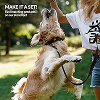 Vista 30 de CollarDirect Reflective Dog Collar for a Small, Medium, Large Dog or Puppy with a Quick Release Buckle - Boy and Girl - Nylon Suitable for Swimming