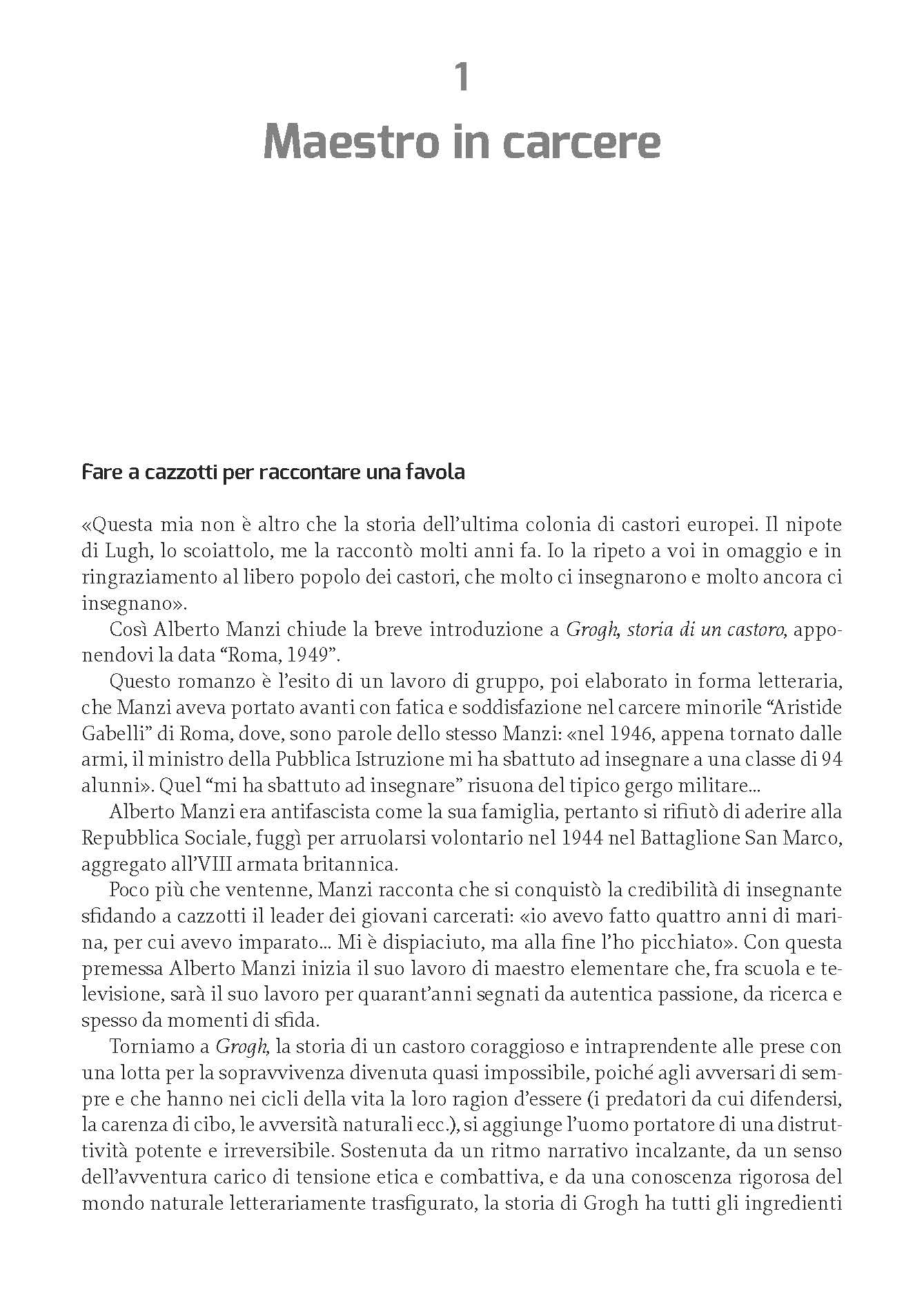 Alberto Manzi. L'avventura di un maestro. Ediz. ampliata