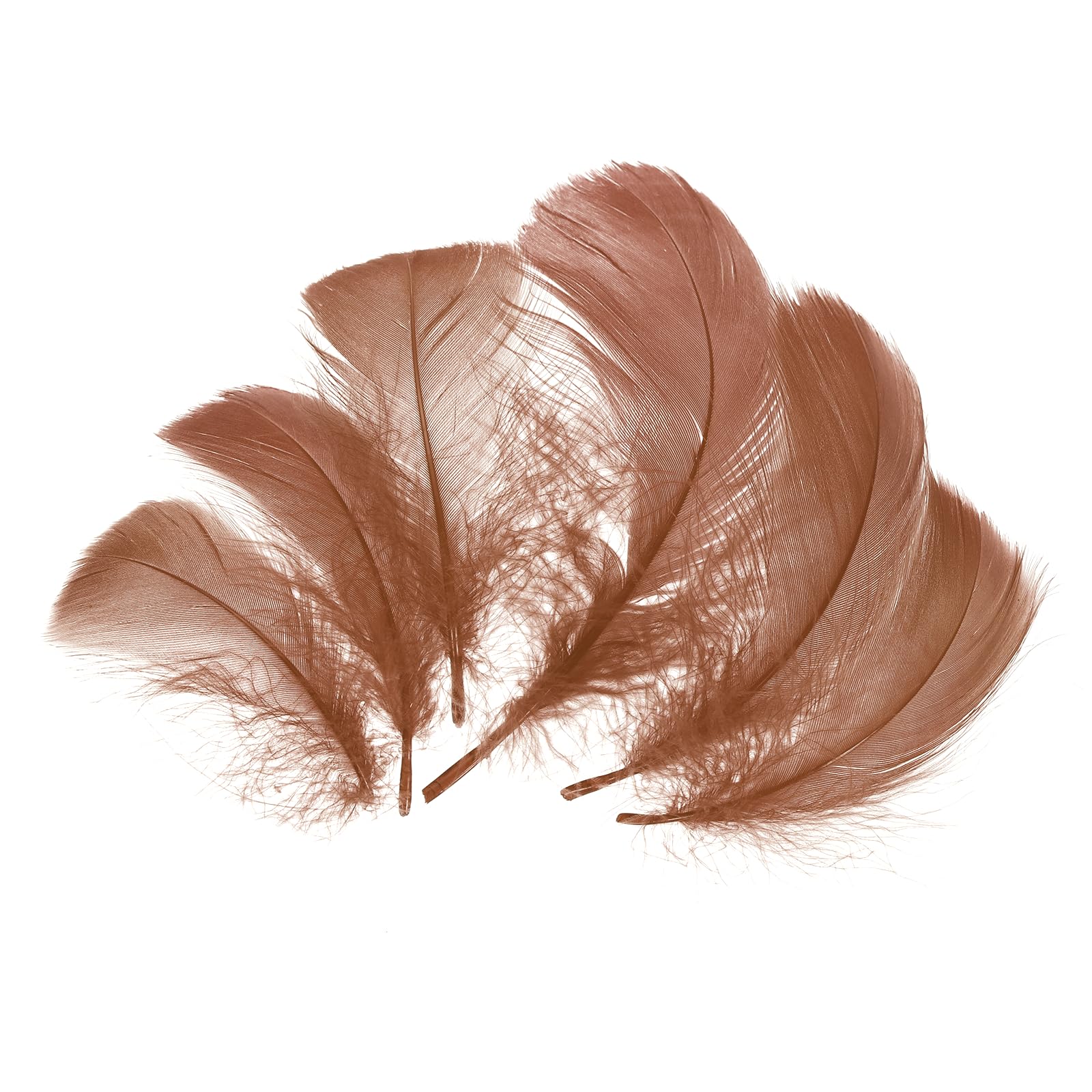 sourcing map 100Pcs Dark Brown Craft Feathers, 3-6 Inch Colored Feathers for Crafting, Fluffy Feather Bulk for DIY Crafts, Dream Catcher Supplies, Wedding Party Decoration