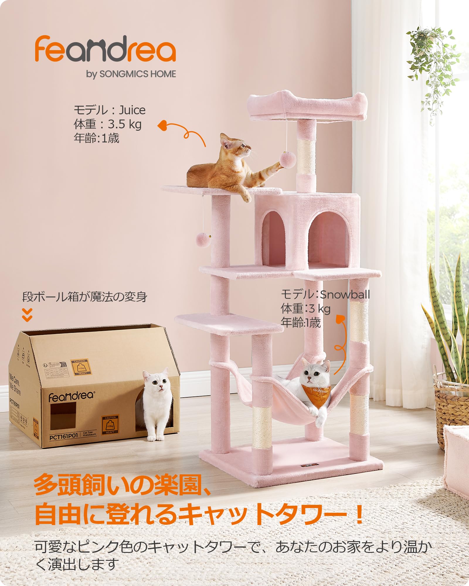 Amazon | FEANDREA キャットタワー スリム 猫タワー ハンモック 耐荷重