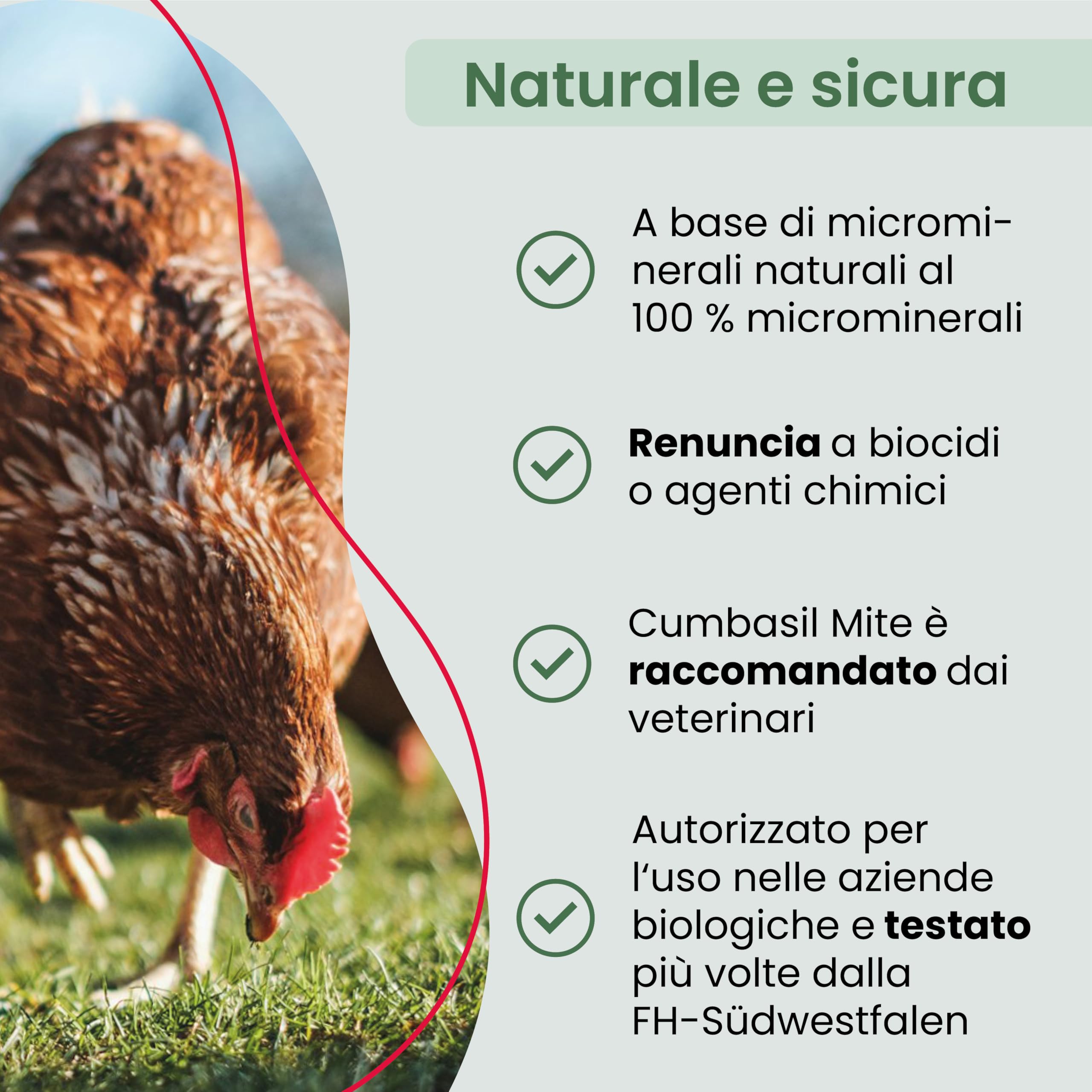 Bagno di polvere antiacaro per polli 25 kg, bagno di sabbia in polvere contro gli acari, rimedio antiacaro per polli, protezione antiacaro naturale, polvere