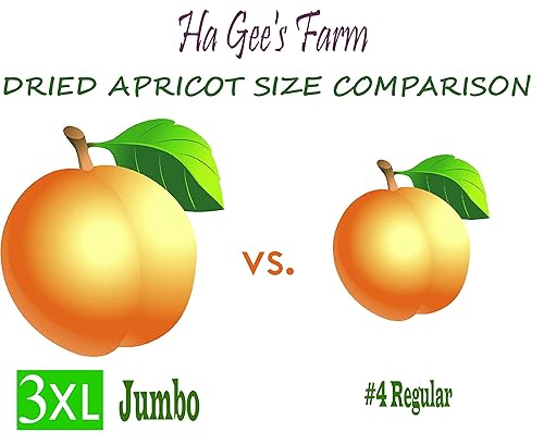 Miniatura 5 de Albaricoque seco turco, tamaño jumbo fresco gourmet #1, bolsas resellables (1 libra)