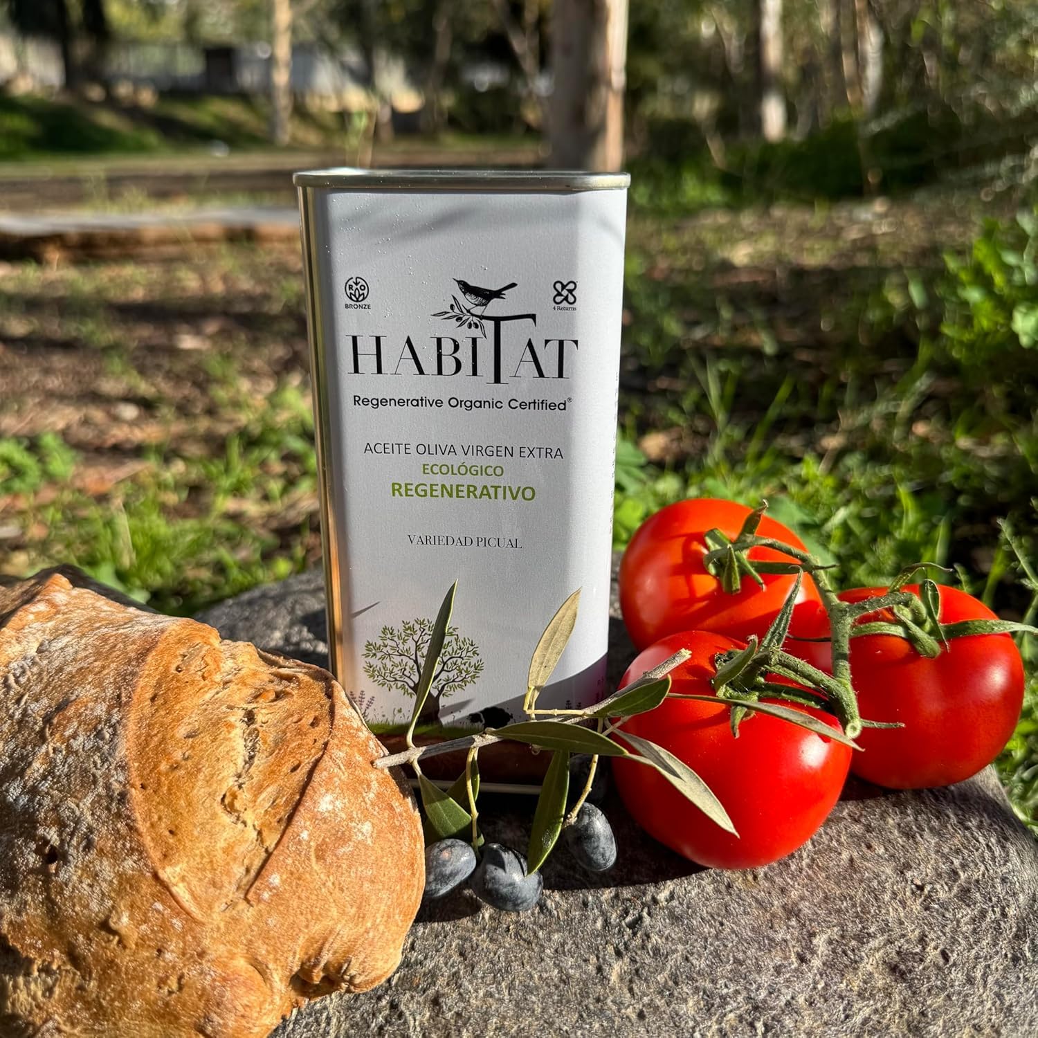 HABITAT AOVE - Aceite de Oliva Virgen Extra Regenerativo Picual en Lata 500 ml Opaca y Reciclable - Extracción en Frío, Producto de España - Ideal para Ensaladas, Tostadas y Cocina en Crudo