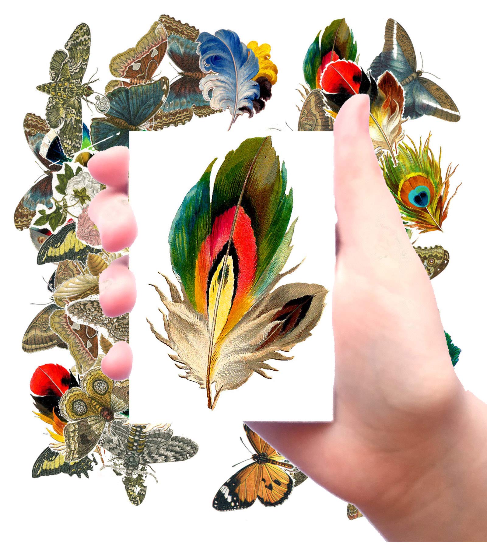 Large Stickers (24 Stickers, Size Each Sticker 65x90mm) Feather Peacock Butterfly Vintage Picture