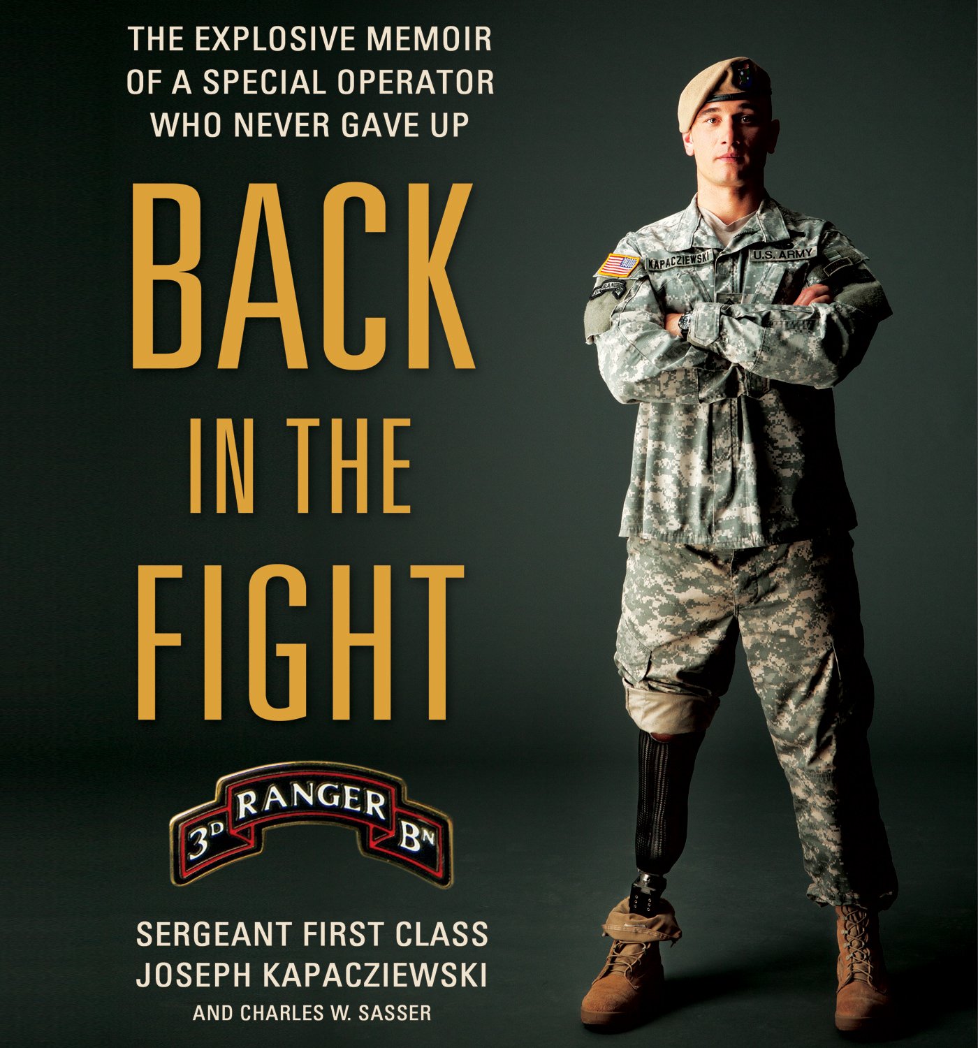 Cover art for Back in the Fight