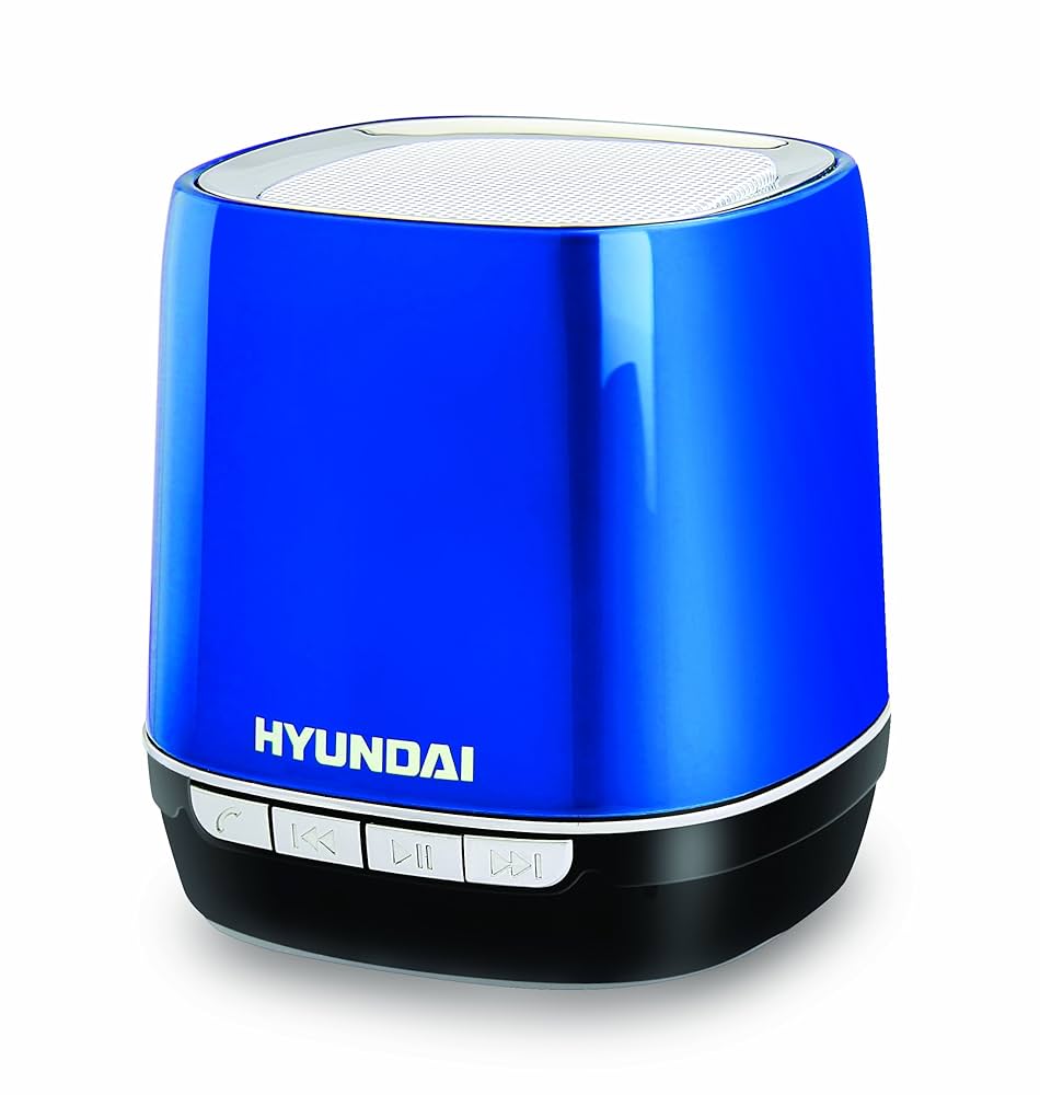 新品未使用 HYUNDAI bluetooth スピーカー Hyundai Portable Bluetooth Speaker I80 BLUE : Amazon.in