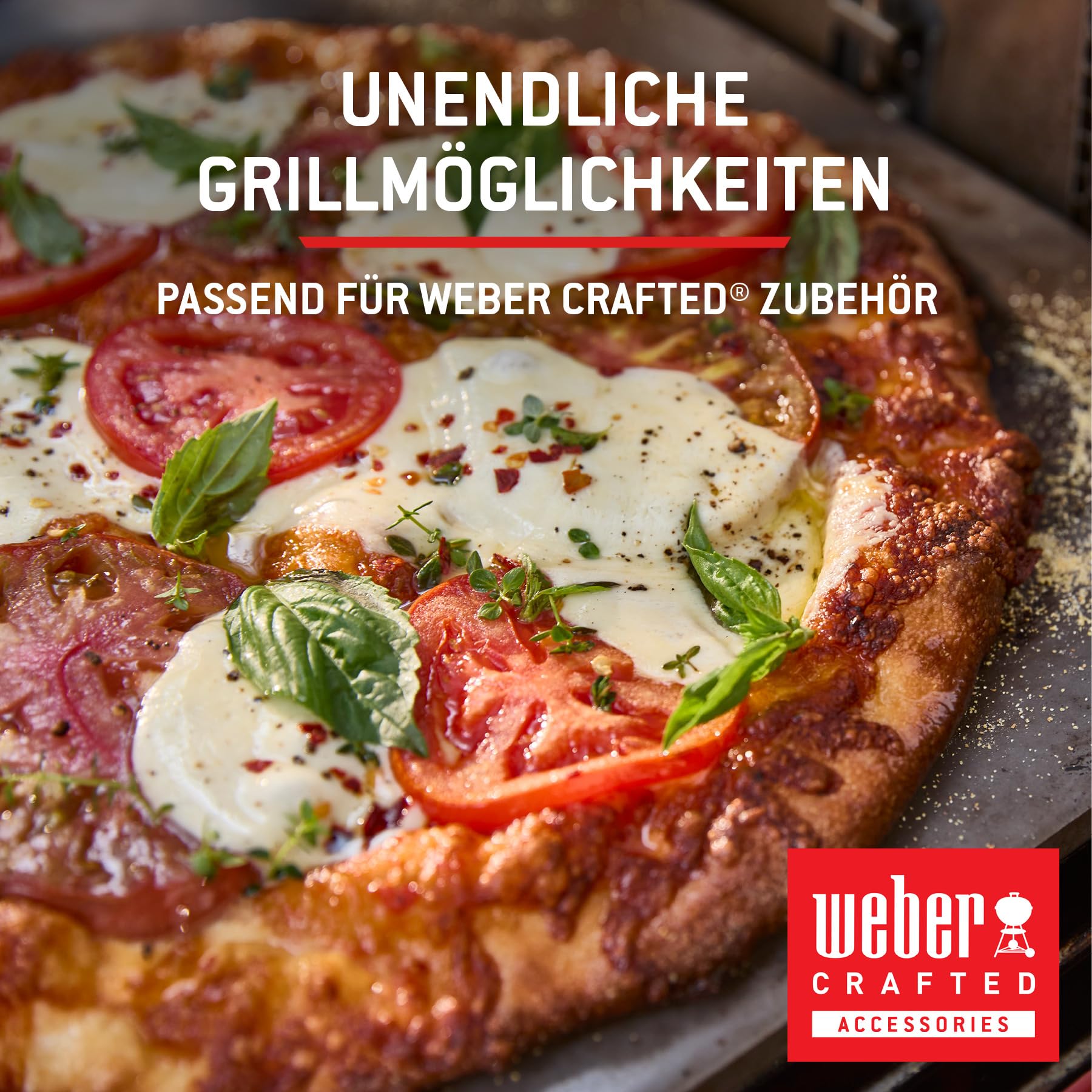 Weber Spirit E-310 Gasgrill
