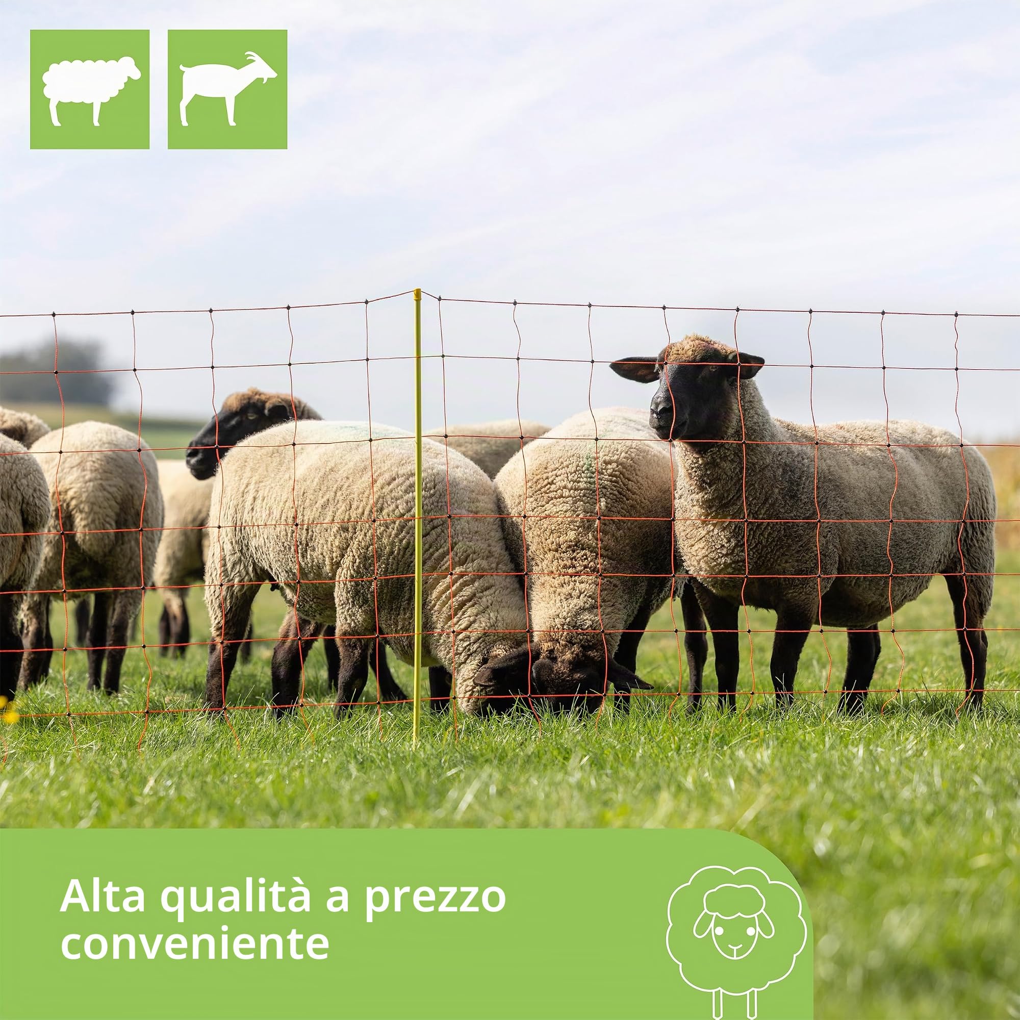 Kerbl Hobbyfarming Rete per Ovini ClassicNet, Recinzione Mobile per pascolo, Rete da pascolo, Doppia Punta, Arancione, 50m x 90cm, 13 Pali, 3 Anni di Garanzia sulla stabilità ai Raggi UV