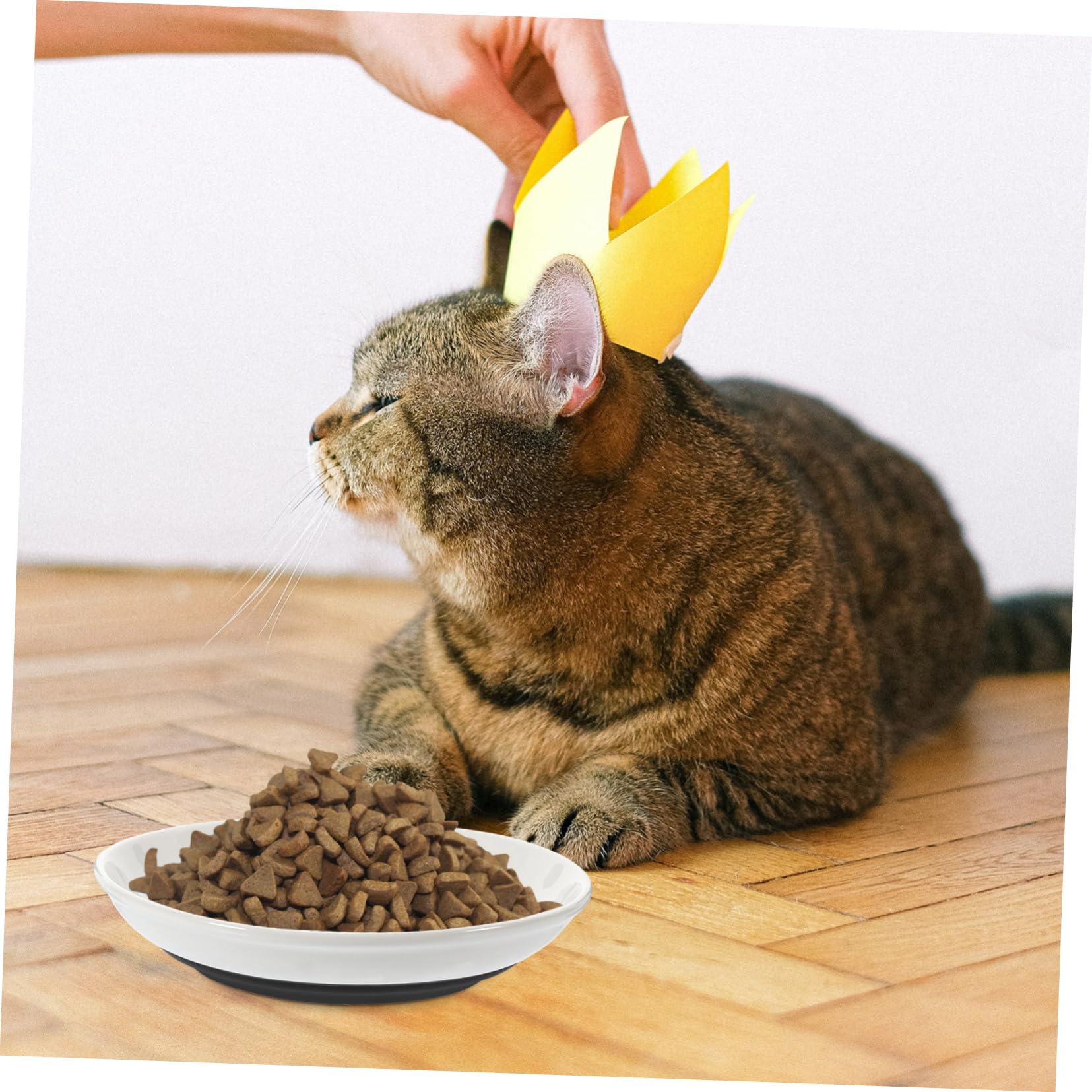 VANZACK Ciotola per Gatti in Ceramica, 3 Pezzi, Bassa e Ampia, Fondo Antiscivolo in Silicone, per Piccoli Gatti, Pappa e Acqua