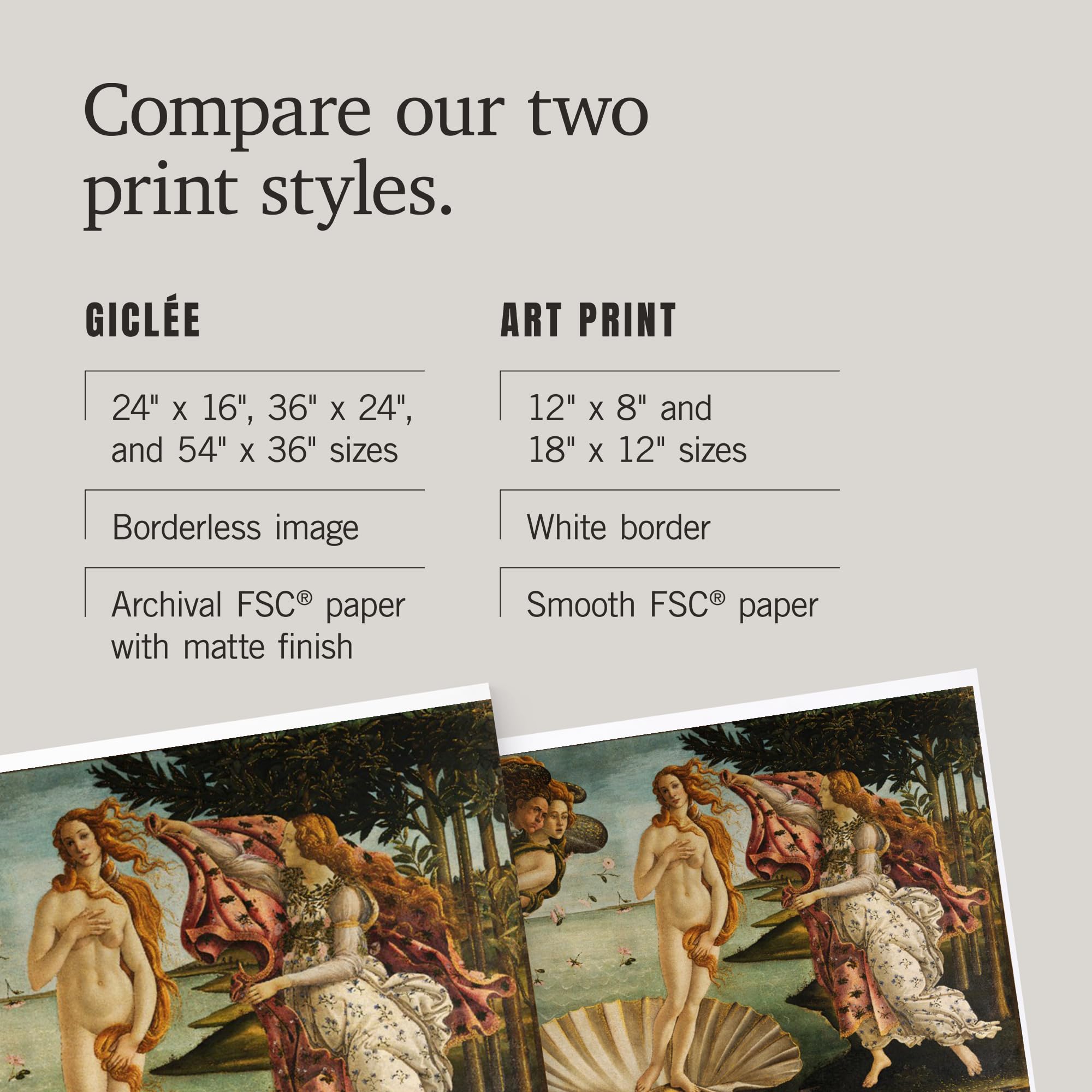 Amazon.com: 24x36 Inch Giclee Print, The Birth of Venus