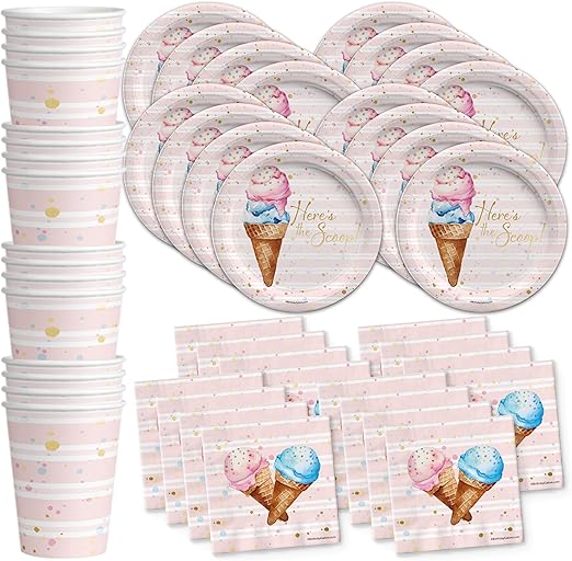 Here's The Scoop Ice Cream Party Supplies Set Plates Napkins Cups Tableware Kit for 16