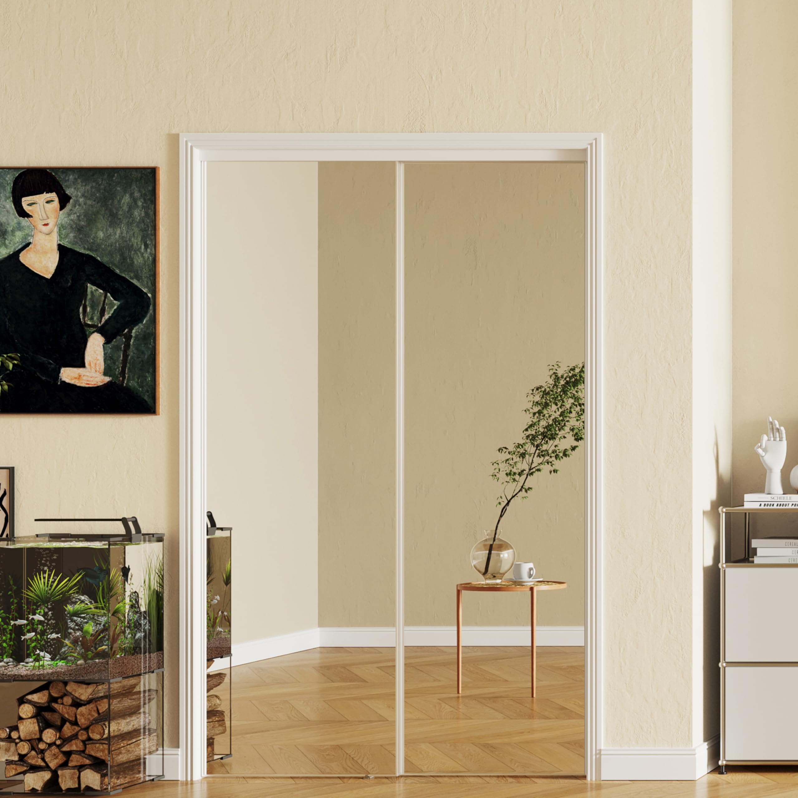 SOLRIG mirror sliding closet door