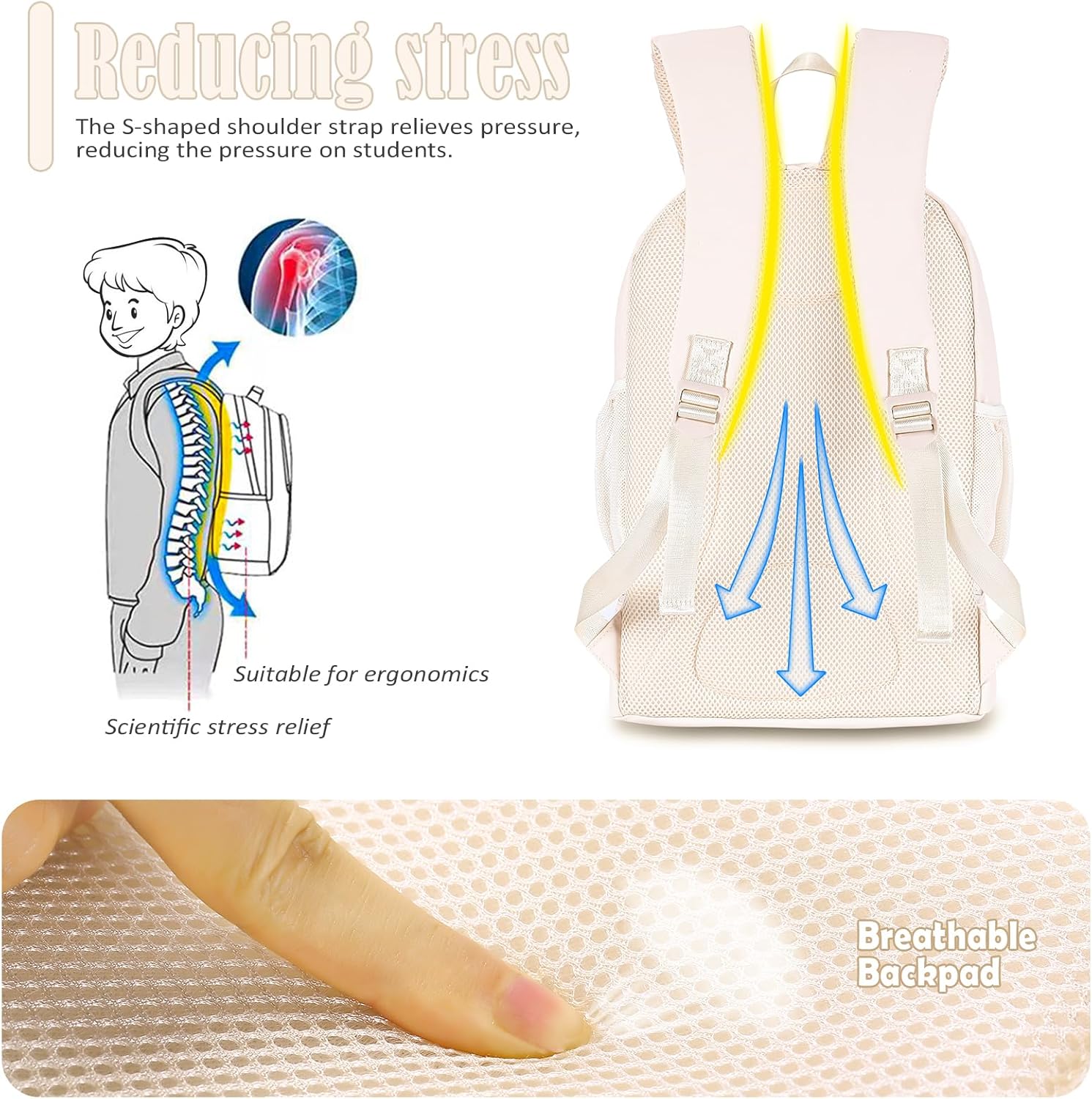 NOL Natural Organic Lifestyle Kids 2-in-1 Backpack & Insulated Lunch Bag-16 Multi-Functional Large Compartments Backpack for School & Travel, Double Deck, Water Resistant, Leak-proof, Padded (Cream) - Image 6