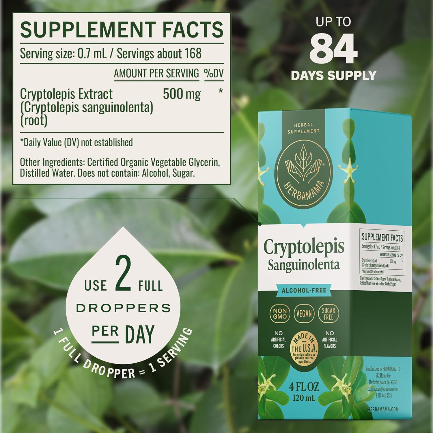 HERBAMAMA Cryptolepis Tincture - Vegan Immune Support Supplement with Cryptolepis Sanguinolenta Extract - Non-GMO, Alcohol & Sugar-Free Immunity Drops - 84-Day Supply - Image 3