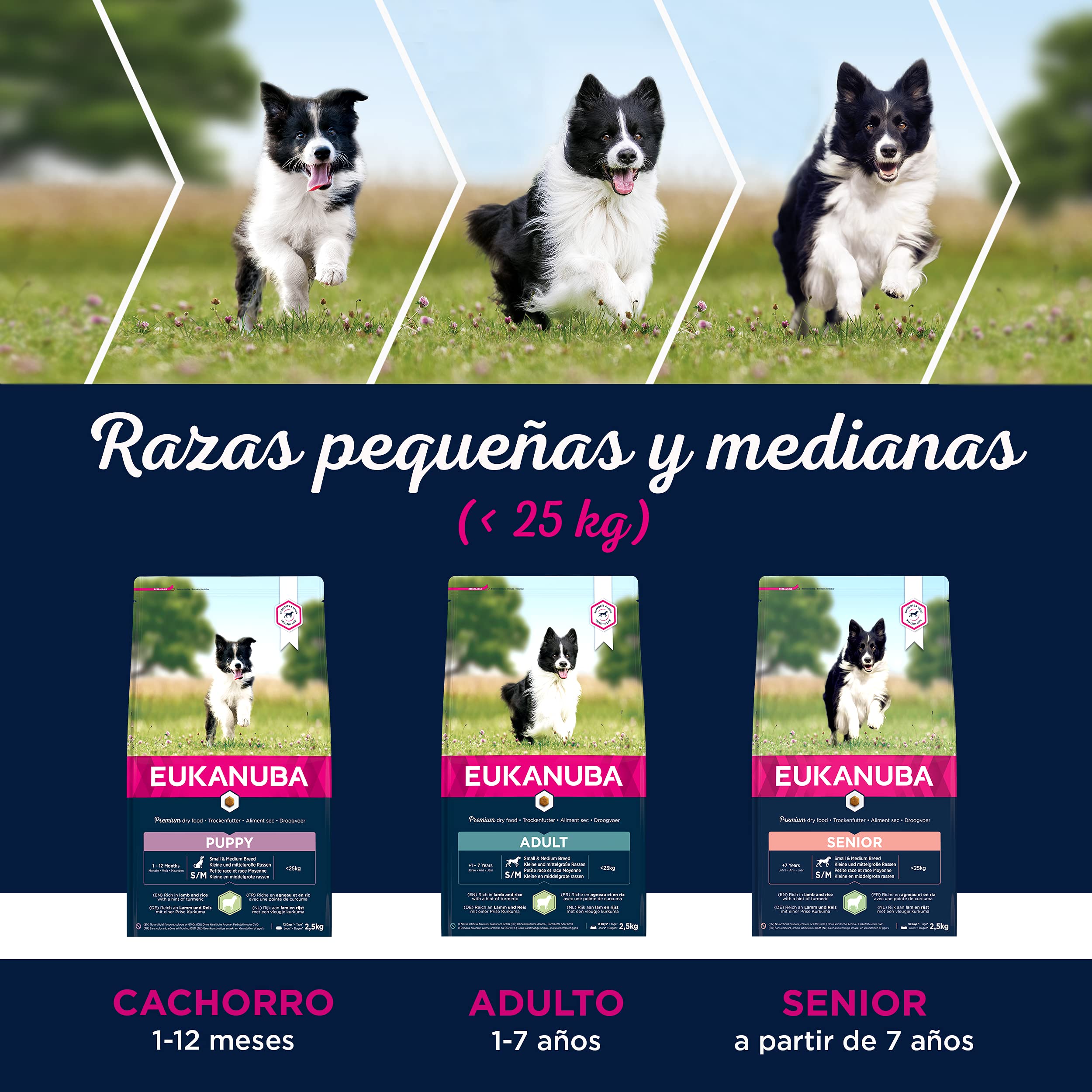 EUKANUBA Alimento seco para Cachorros de Razas pequeñas y Medianas, Rico en Cordero y arroz, 12 kg