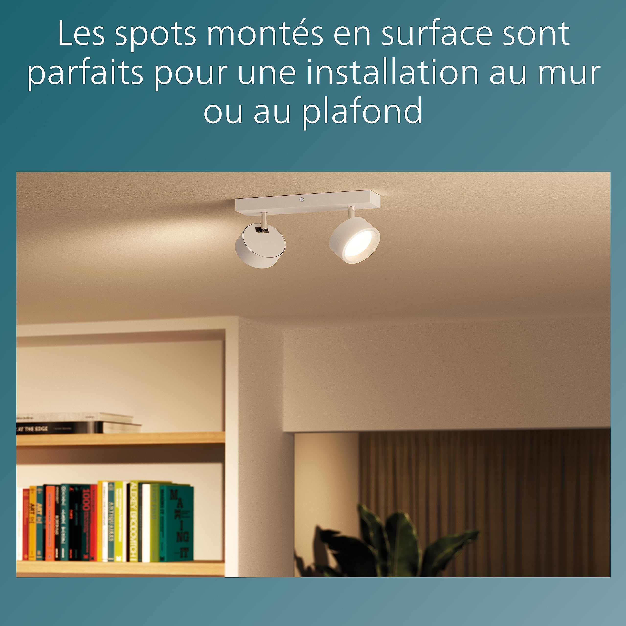 Philips, spot Bracia 2x5.5W, blanc chaud 2700K, Blanc