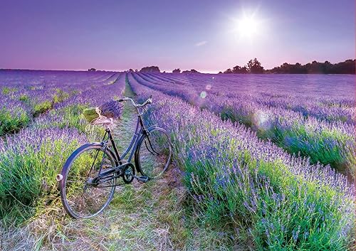 Miniatura 2 de Educa - Bicicleta en un campo de lavanda - Rompecabezas de 1000 piezas - Pegamento para rompecabezas incluido - La imagen completa mide 26.8 x 18.9