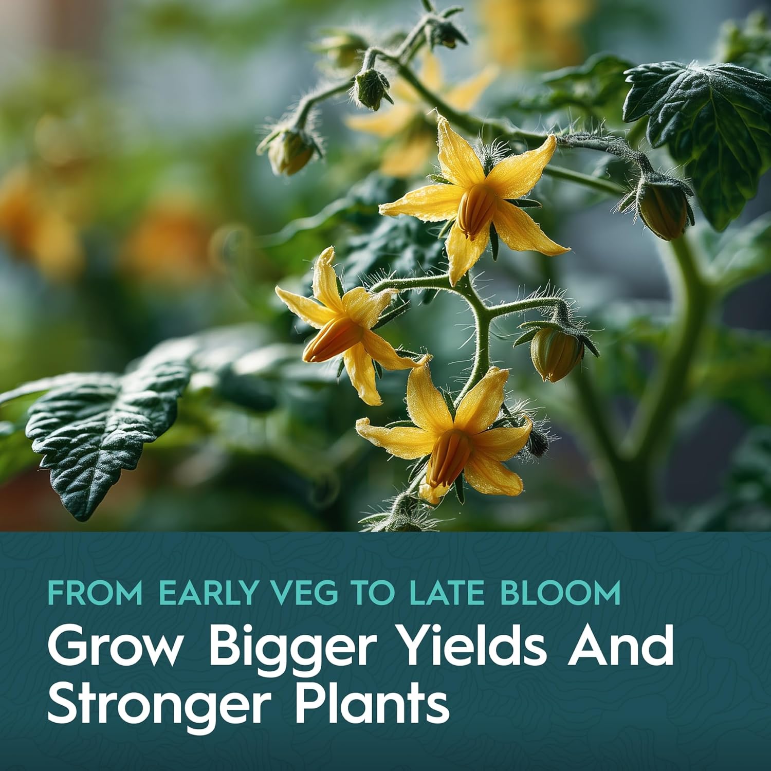 5-Part Nutrient Kit, Liquid Growth & Bloom Nutrition System, Base A, Base B, CaMg, Flex, Flow, Supports Growth to Bloom, pH Stable & Clean for Hydroponics, Soil and Coco, 5 Quarts Total