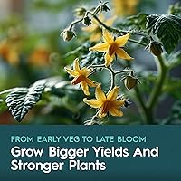 Vista 8 de Kit de nutrientes de 5 partes, sistema de nutrición líquida para crecimiento y floración, base A, base B, caMg, flexible, flujo, apoya