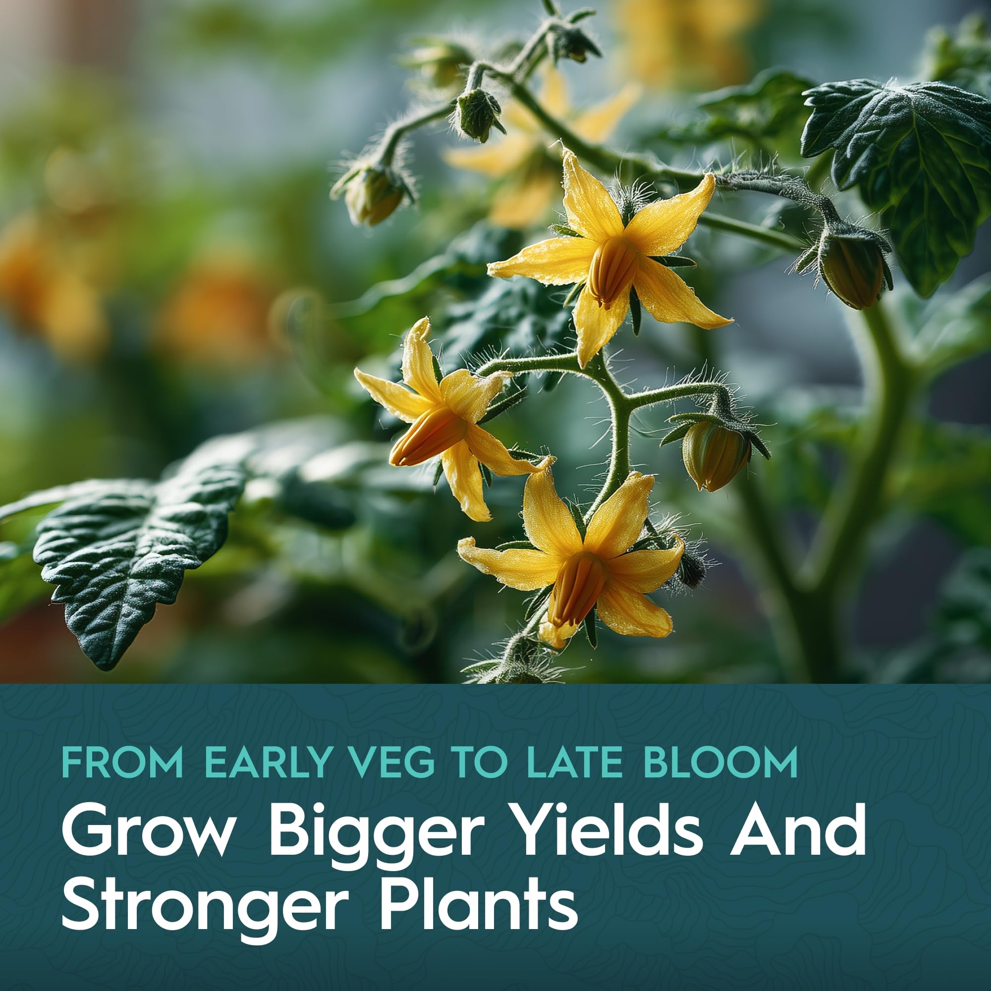 5-Part Nutrient Kit, Liquid Growth & Bloom Nutrition System, Base A, Base B, CaMg, Flex, Flow, Supports Growth to Bloom, pH Stable & Clean for Hydroponics, Soil and Coco, 5 Quarts Total