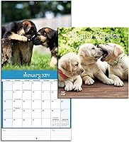 Vista 1 de Turner - Mini calendario fotográfico de pared de cachorros juguetones (24998950017)