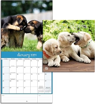 Turner Photographic Playful Puppies Photo Mini Wall Calendar 24998950017