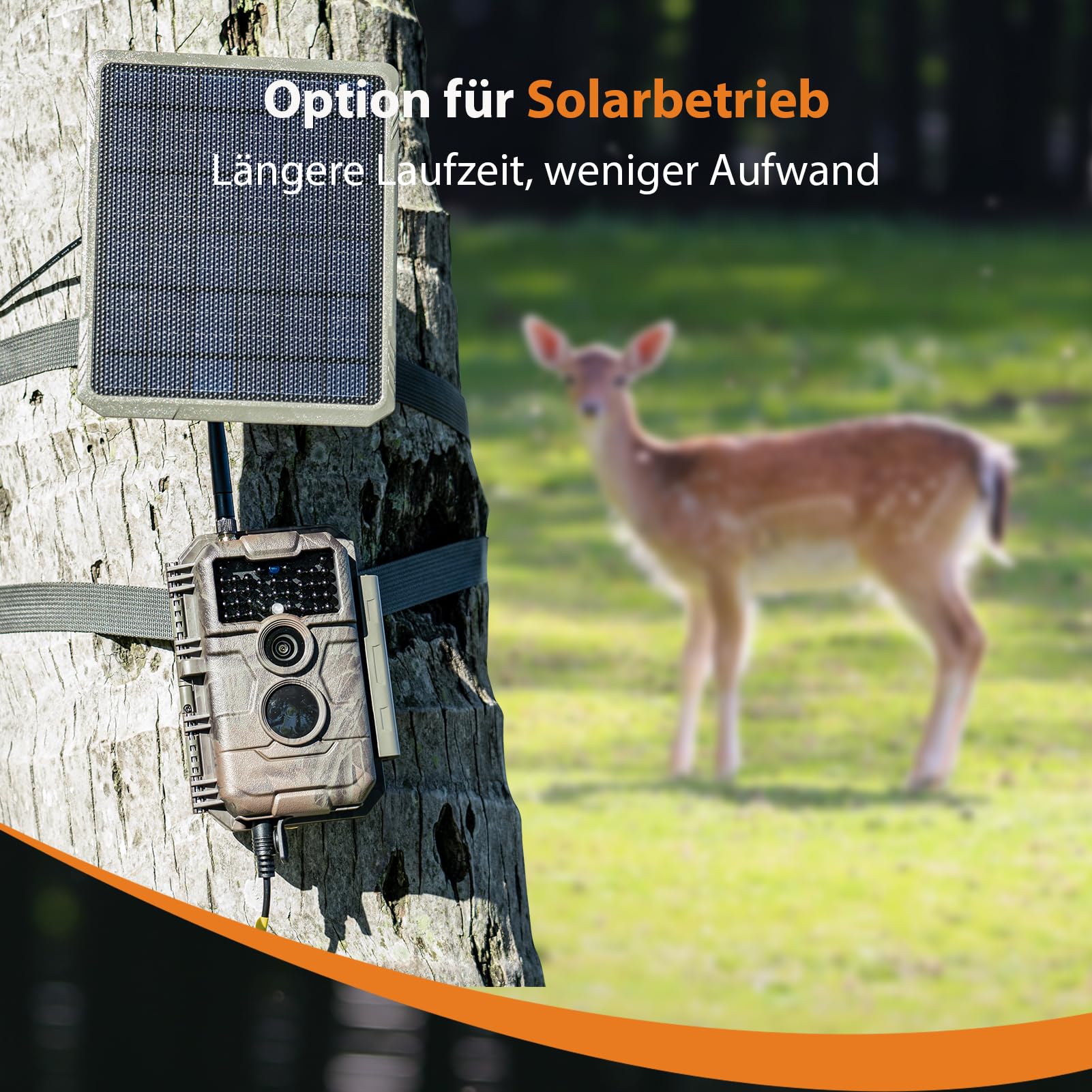 GardePro E6 Wildkamera WLAN, 64 MP, 1296p H.264 Video, 110° Blickwinkel, Wildtierkamera mit Nachtsicht, Bewegungsaktivierung, Garten-Kamerafalle