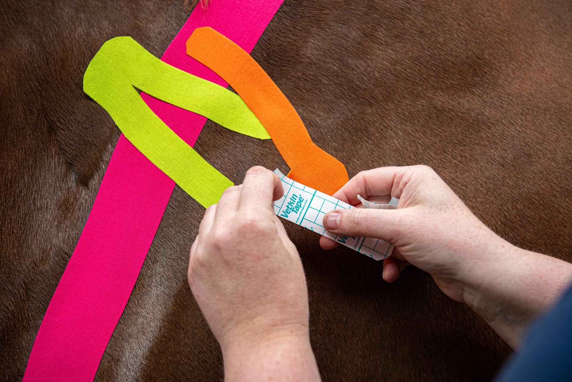 Vetkin Tape - Cortador de cinta de kinesiología de 6 cm | Cortadora de fisioterapia animal y cinta linfática | Corta 2 – 5 tiras | Compacto y preciso | Accesorios para terapeutas